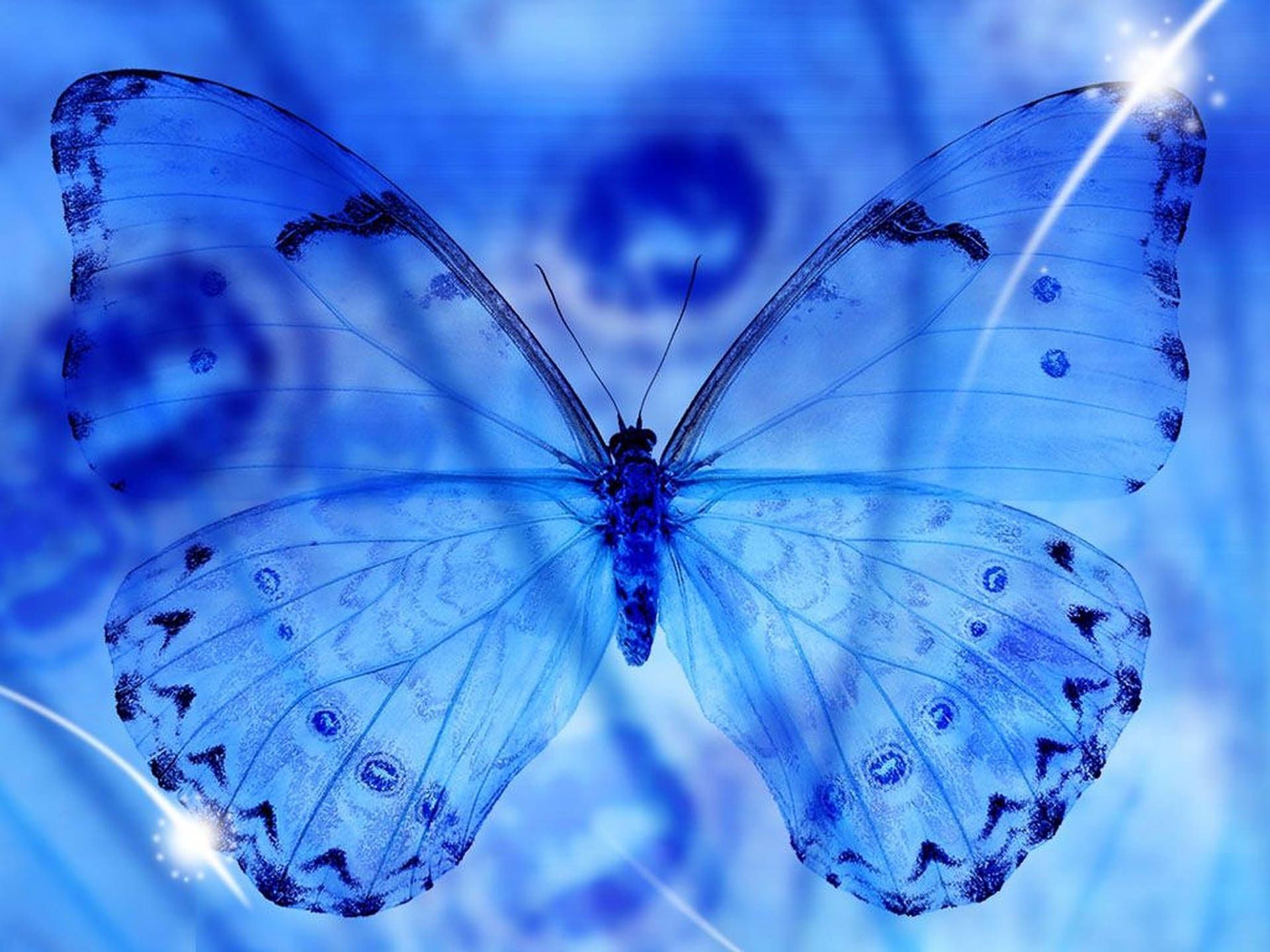Blauer Schmetterling, Fantasy, Leuchten, Digitale Kunst, Full HD, Tablet-Hintergrund
