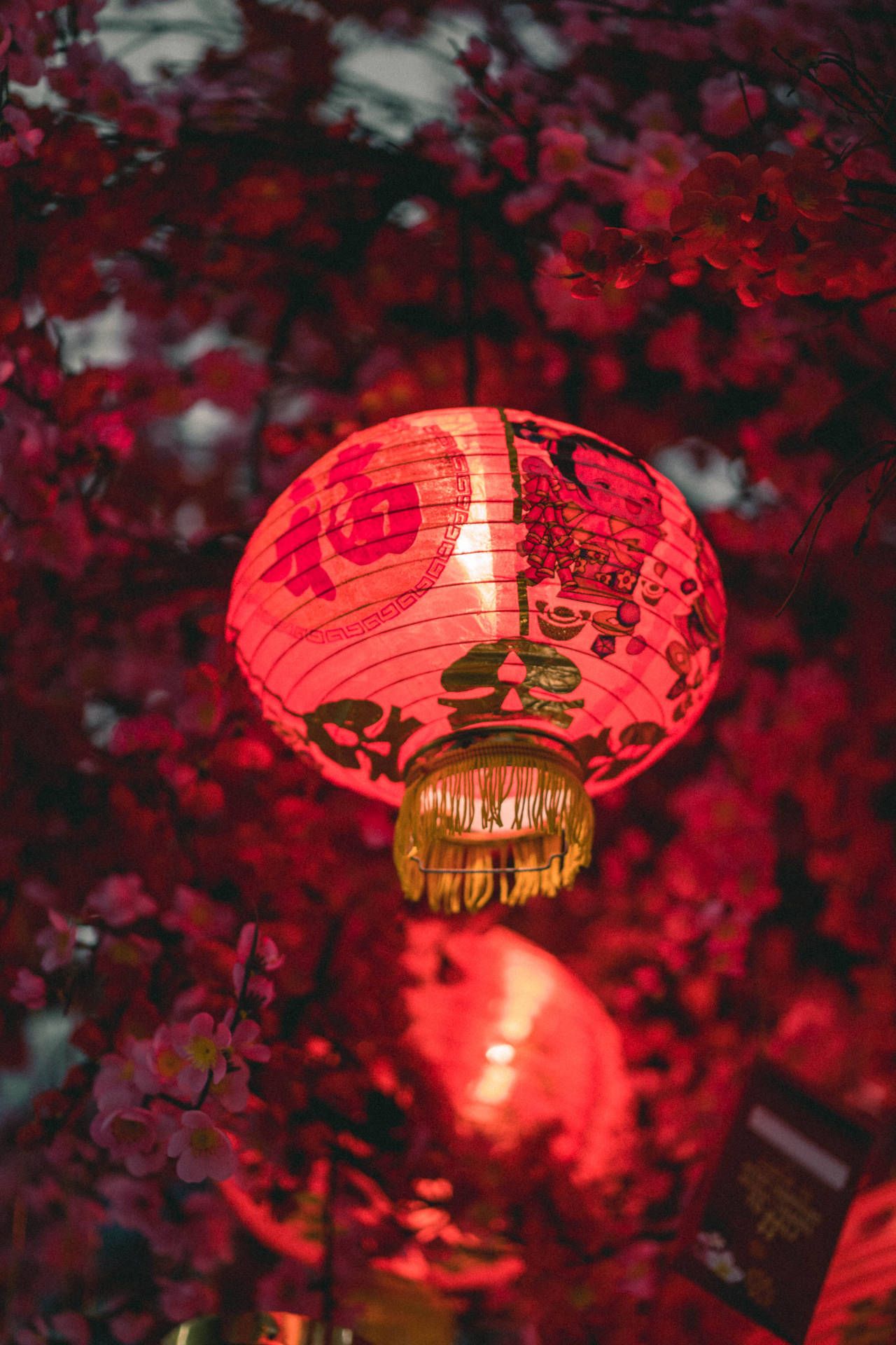 Chinesische Laterne, Rote Laternen, Rote Blätter, Nacht, Bokeh, Full HD, Handy-Hintergrund