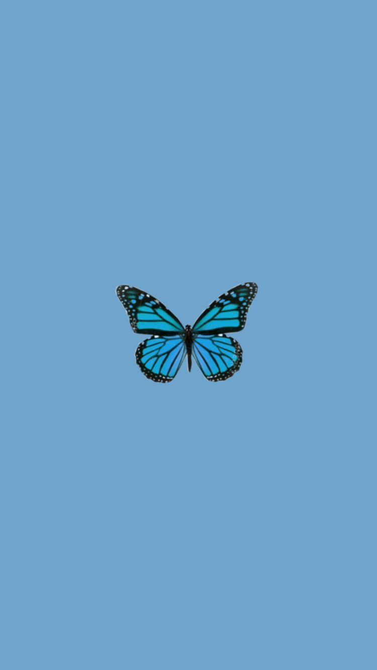 Türkiser Schmetterling, Blauer Hintergrund, Minimalistisch, Sperrbildschirm fürs iPhone
