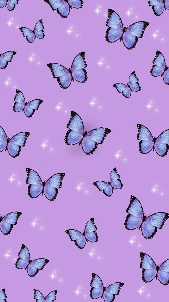 Blaue Schmetterlinge, Muster, Lila Hintergrund, HD, Sperrbildschirm fürs iPhone