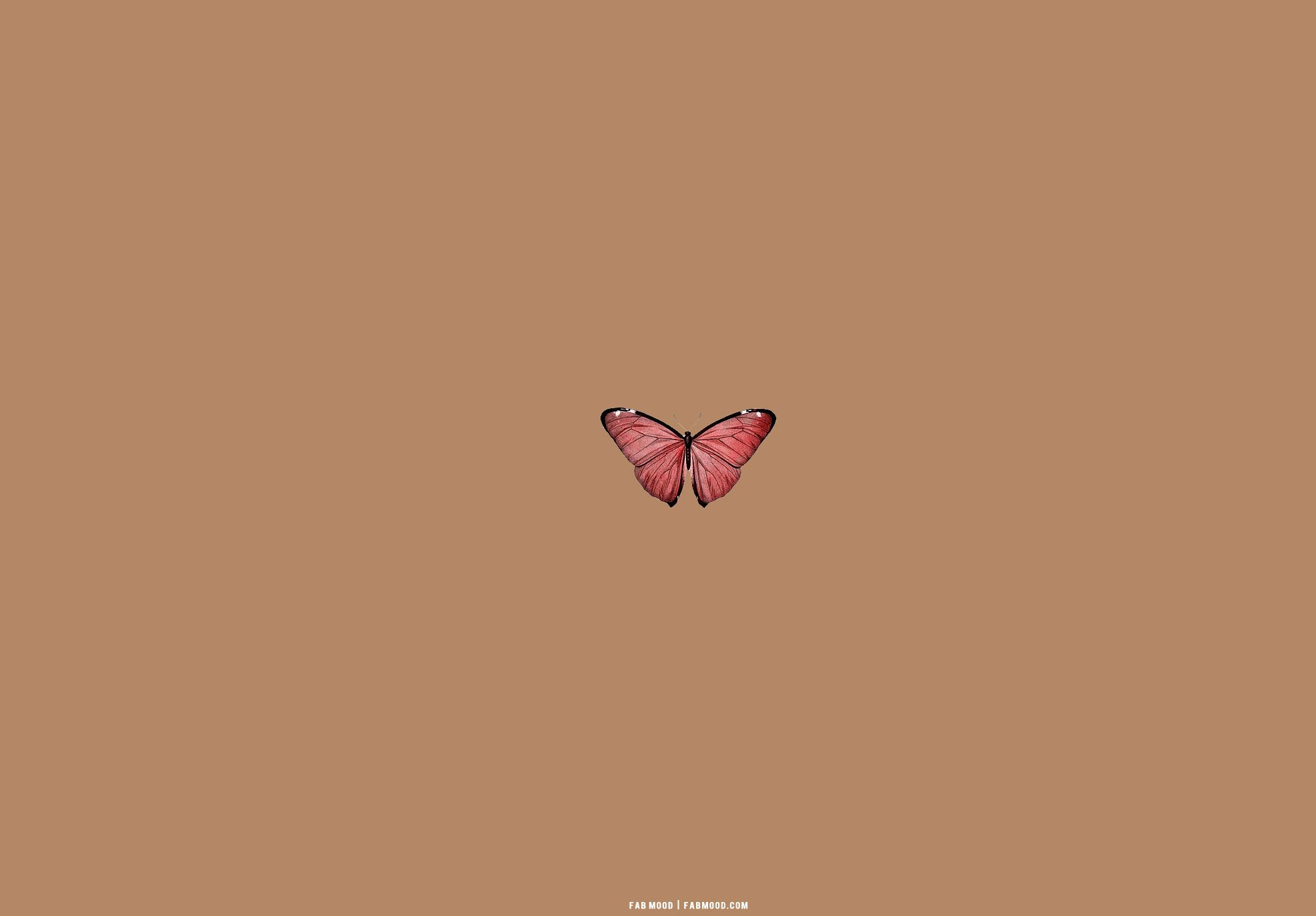 Rosa Schmetterling, Braun, Minimalistisch, Full HD, Desktop-Hintergrund für Windows