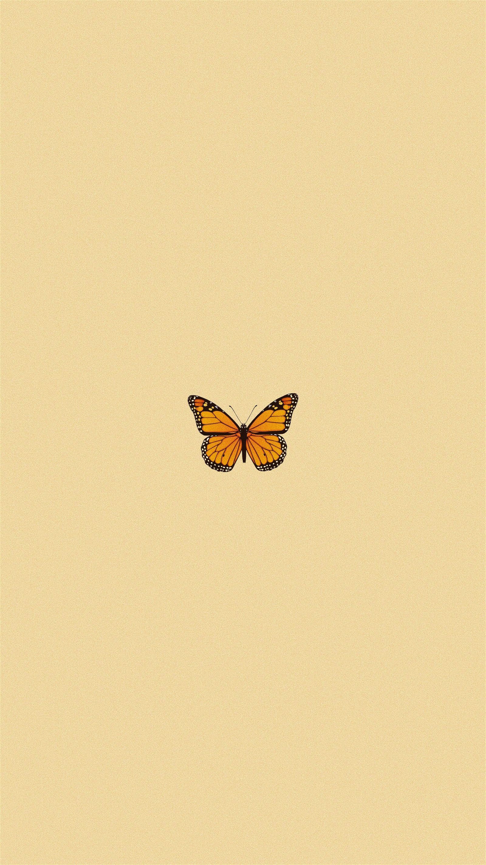 Monarchfalter, Cremegelb, Minimalistisch, QHD+, Sperrbildschirm fürs iPhone