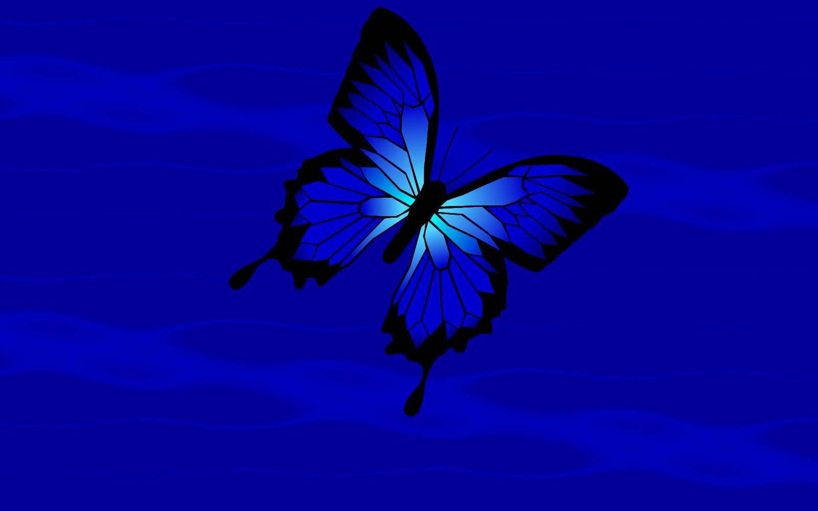 Blauer Schmetterling, Dunkelblau, Illustration, Schwalbenschwanz, HD, MacBook-Hintergrundbild