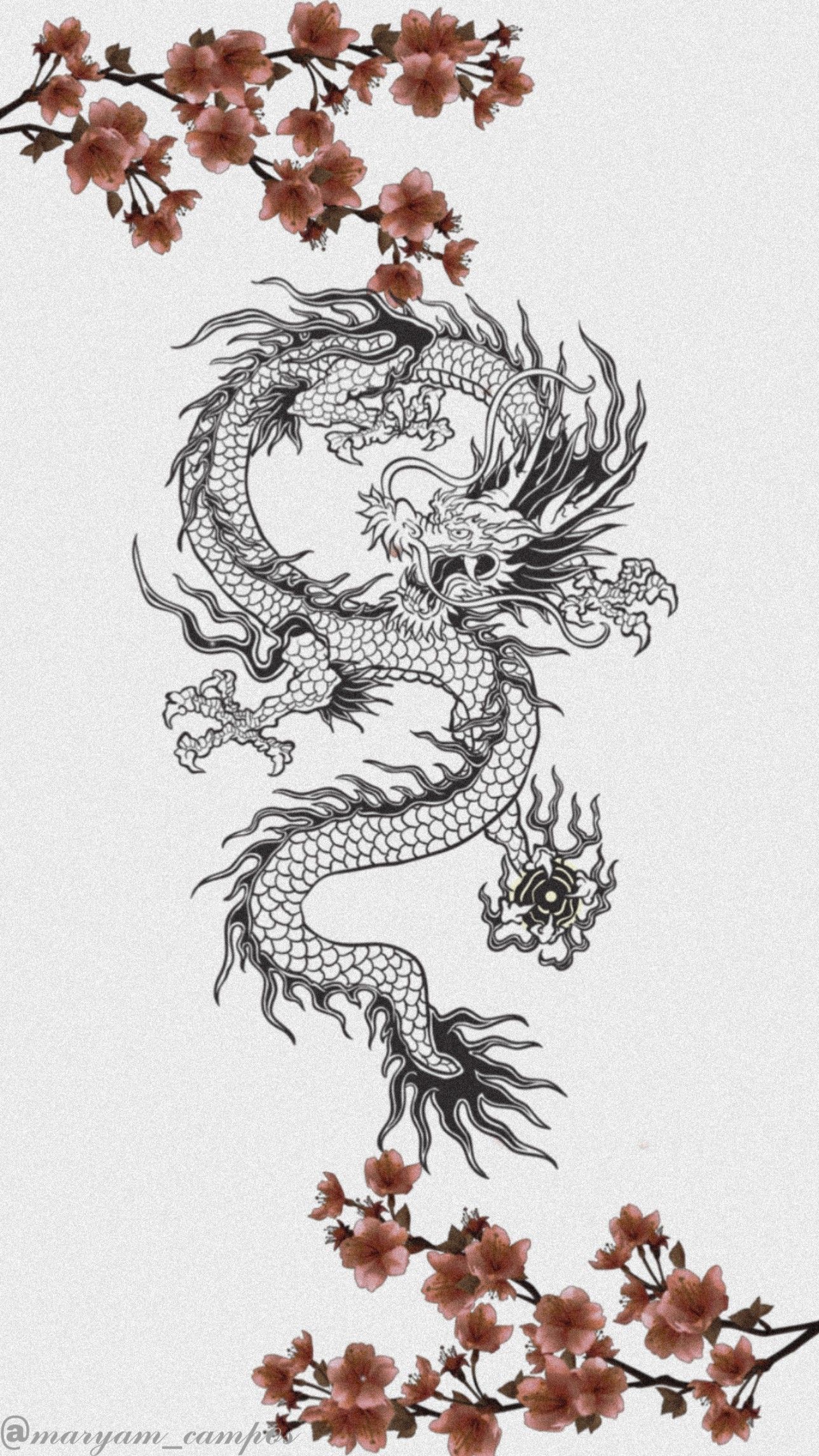 Chinesischer Drache, Kirschblüten, Tuschezeichnung, Weißer Hintergrund, Hochformat, Sperrbildschirm