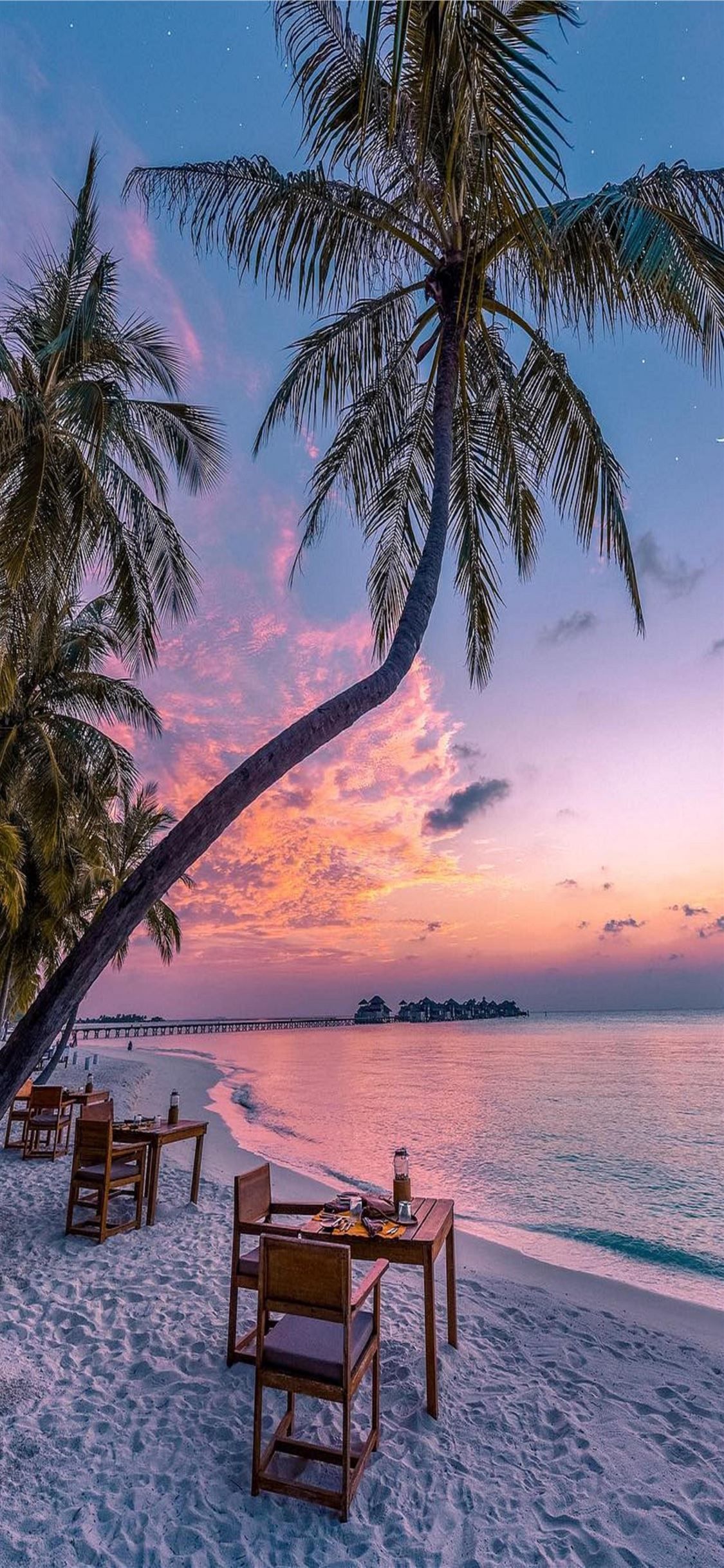 Tropischer Strand, Palmen, Sonnenuntergang, Strandtisch, Rosa Himmel, Full HD, Handy-Hintergrund