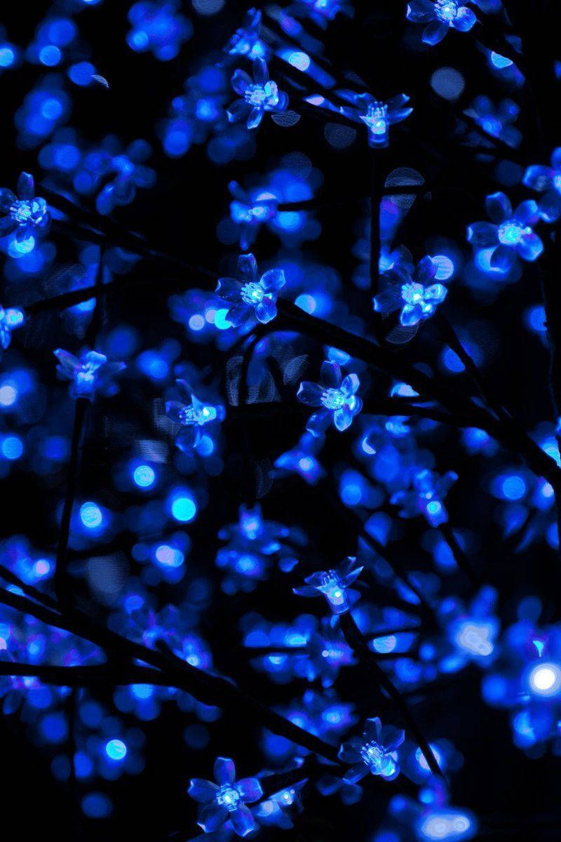 Blaue Lichter, Lichterbaum, Nacht, Bokeh, HD, Hintergrundbild fürs Handy