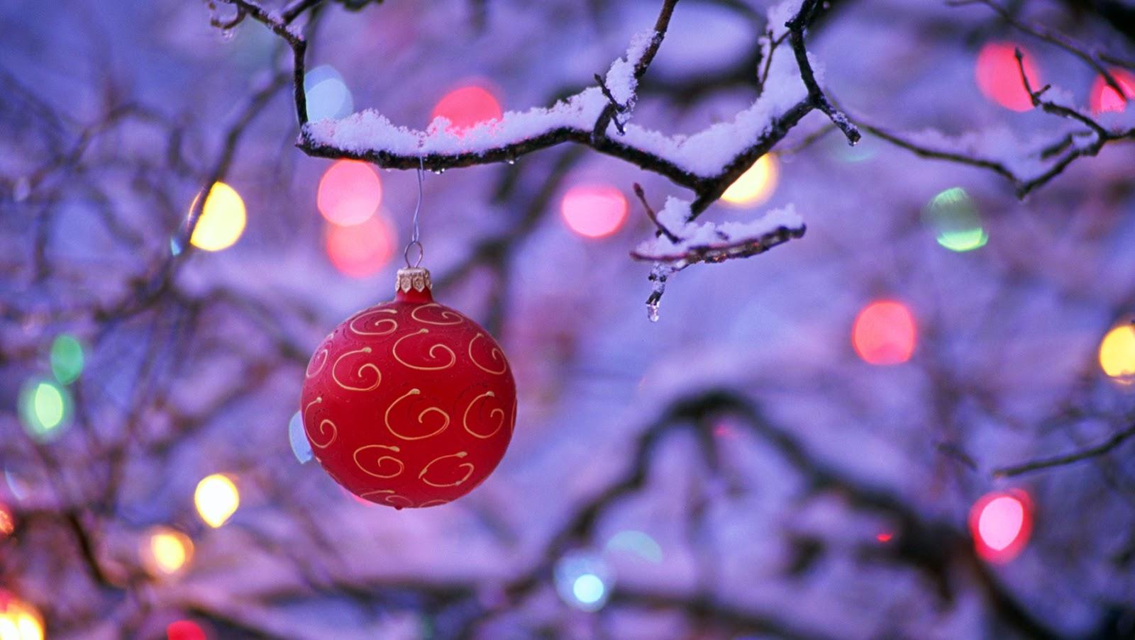 Christbaumkugel, Rot, Schnee, Zweige, Bokeh, HD, Hintergrund für den Desktop