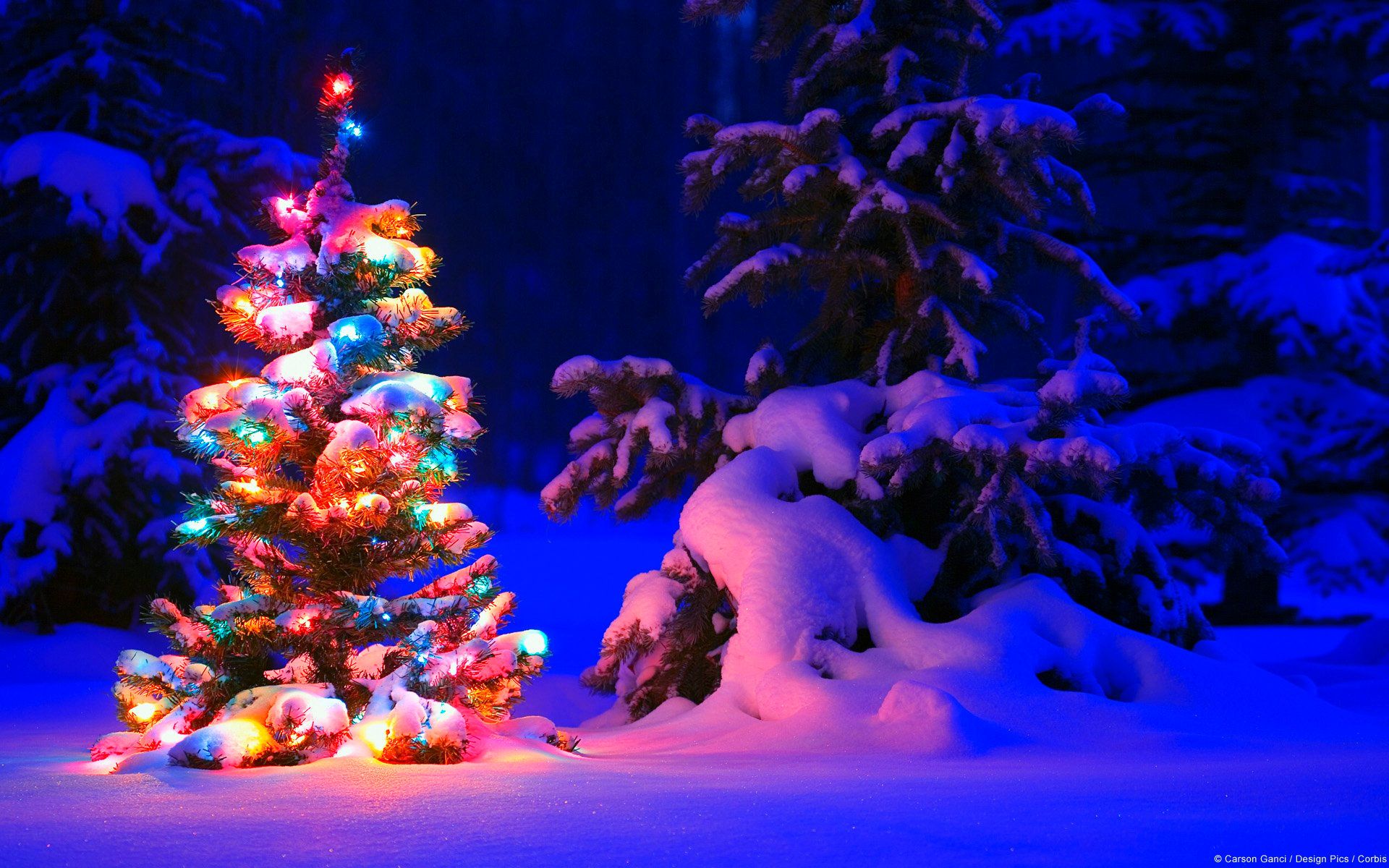 Weihnachtsbaum, Bunte Lichter, Schnee, Nacht, Outdoor, 16:10, Full-HD-Hintergrundbild für den Desktop