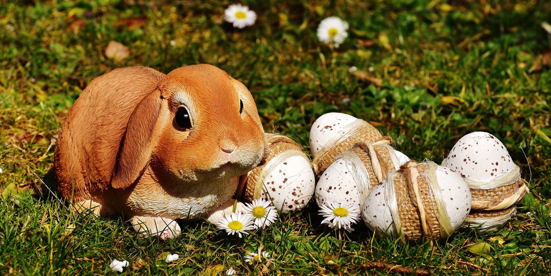 Kaninchen, Ostereier, Gänseblümchen, Wiese, Hängeohren, Full HD, Desktop-Hintergrund für Windows
