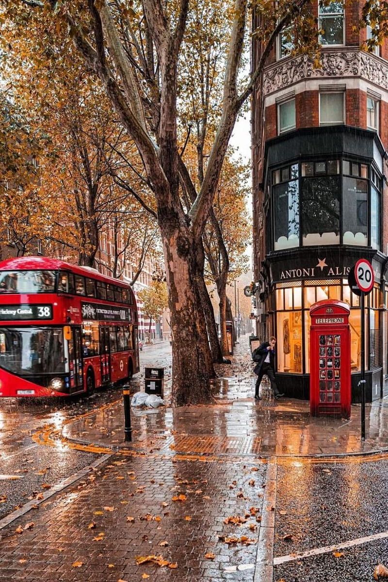 London, Doppeldeckerbus, Telefonzelle, Herbst, Regen, Hochformat, Hintergrundbild fürs Smartphone