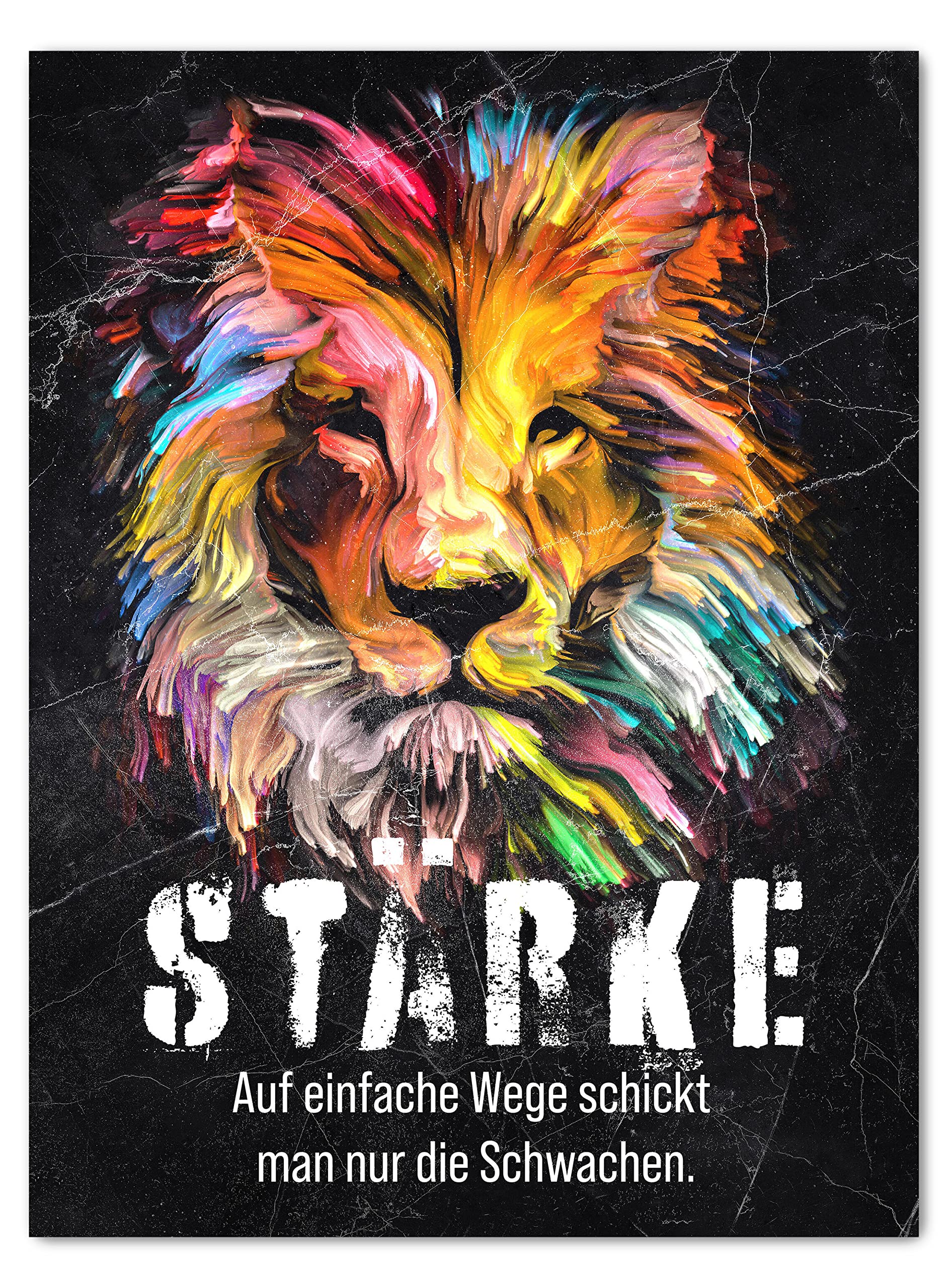 Stärke, Löwe, Motivationsspruch, Bunt, Schwarzer Hintergrund, Typografie, QHD+ Wallpaper
