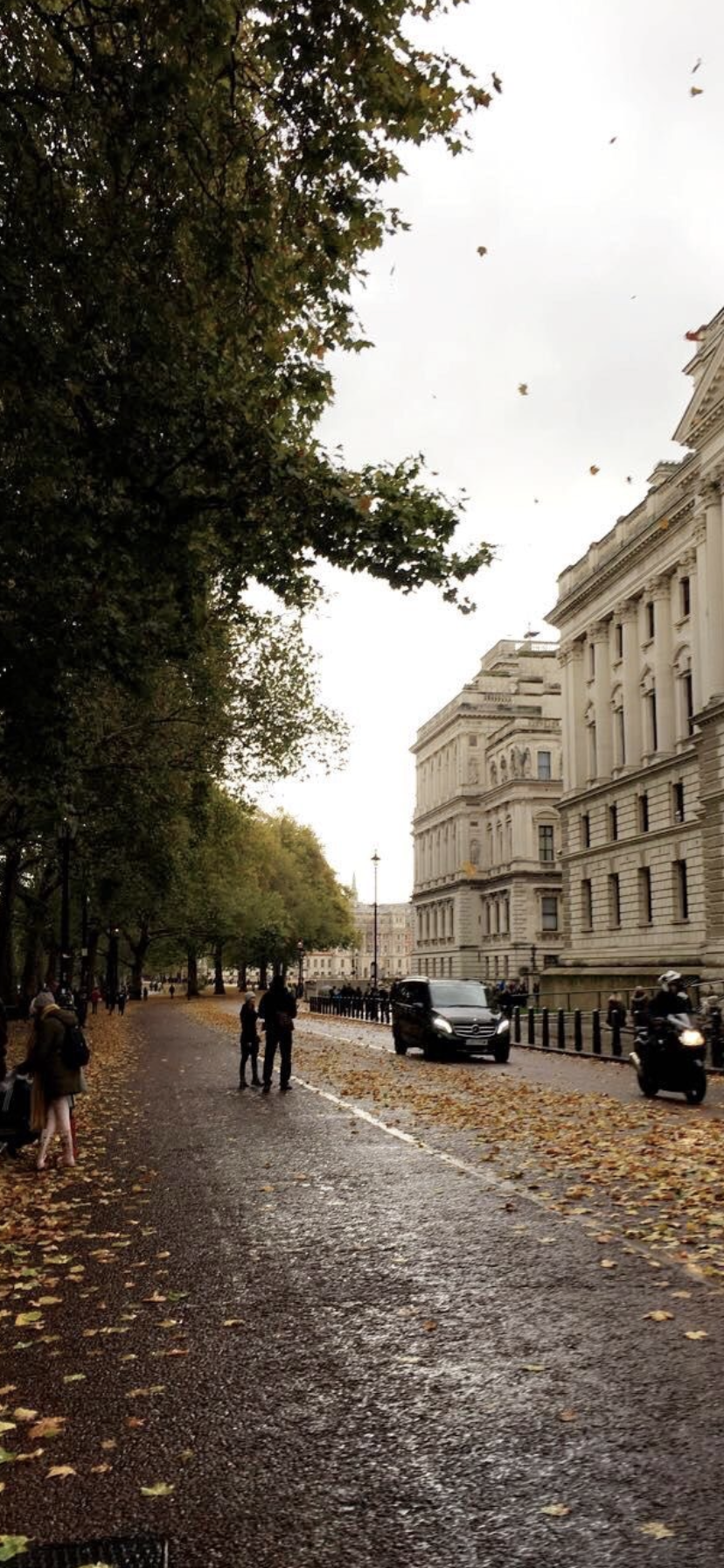 London, Allee, Herbst, Nasser Weg, Park, HD, Handy-Hintergrund im Hochformat
