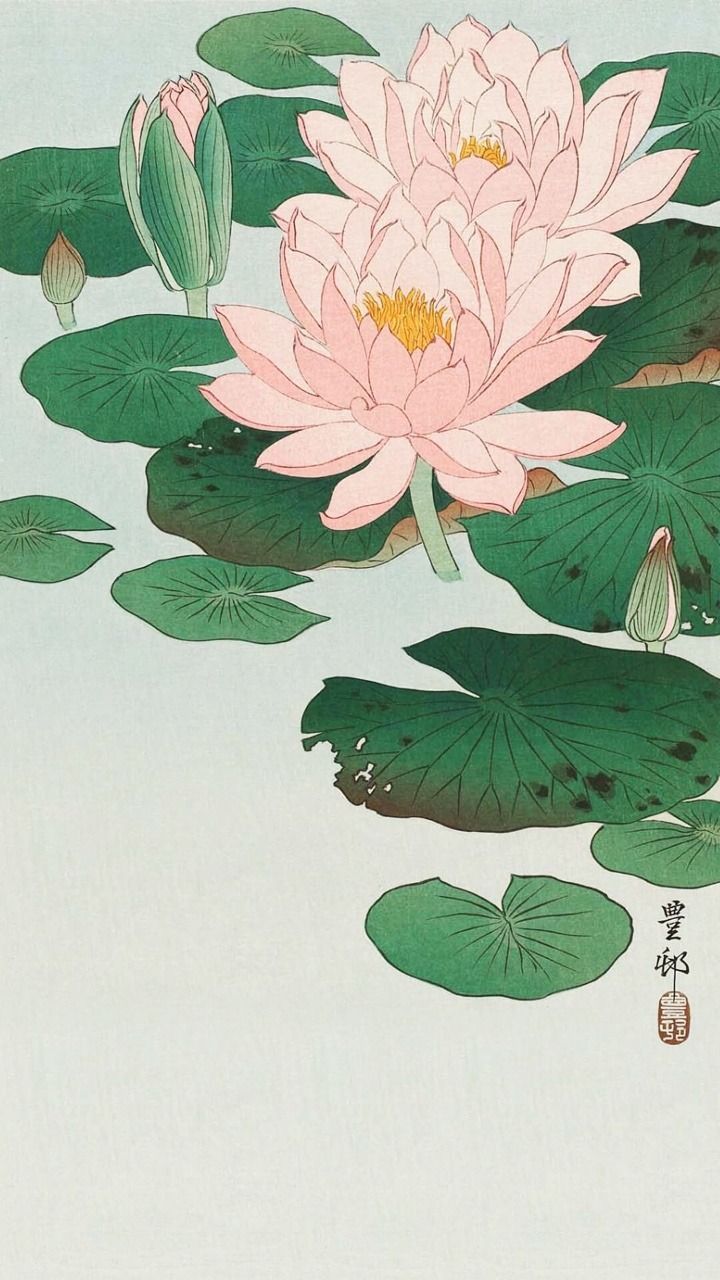 Lotusblüte, Seerosenblätter, Japanische Malerei, Rosa Blüte, Pastellgrün, HD, iPhone-Hintergrundbild