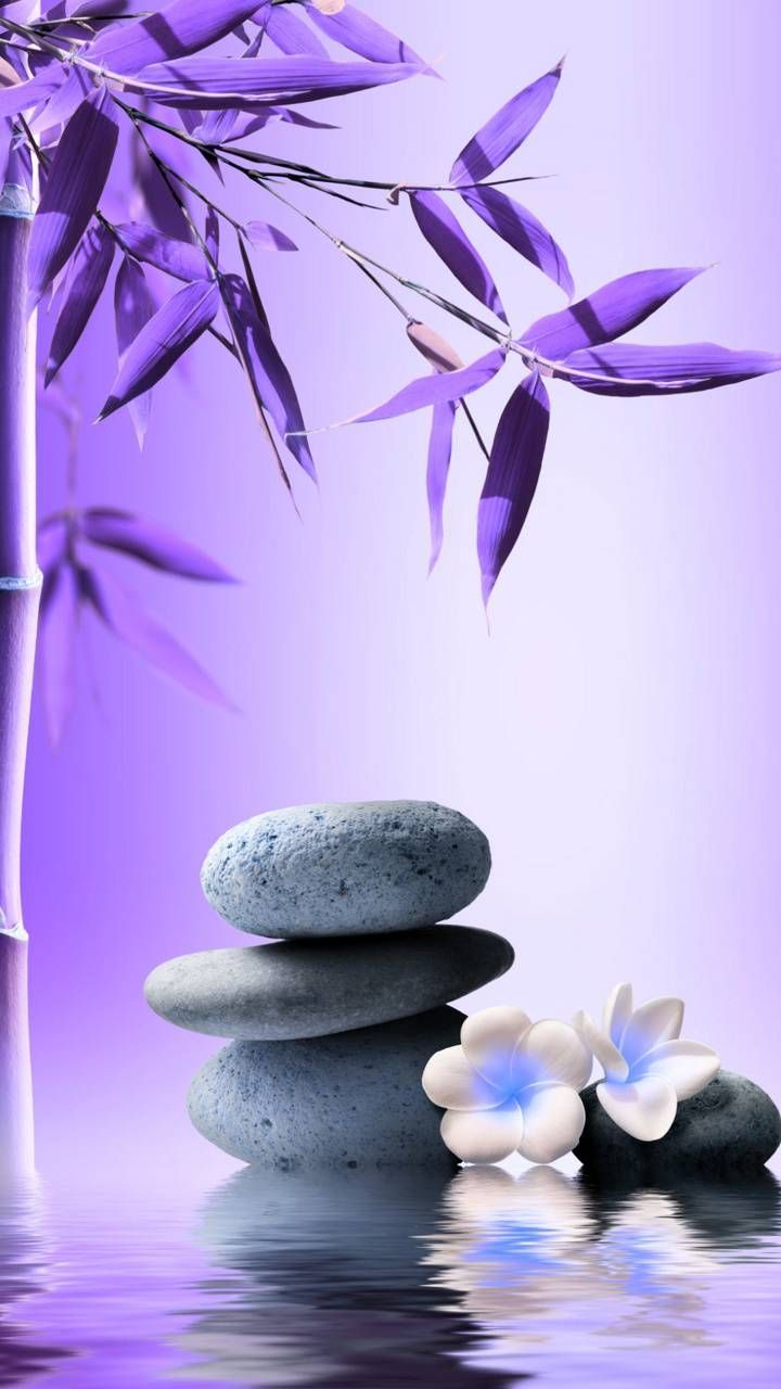 Zen-Steine, Bambus, Orchidee, Wasser, Lila, HD, Hintergrundbild fürs Handy