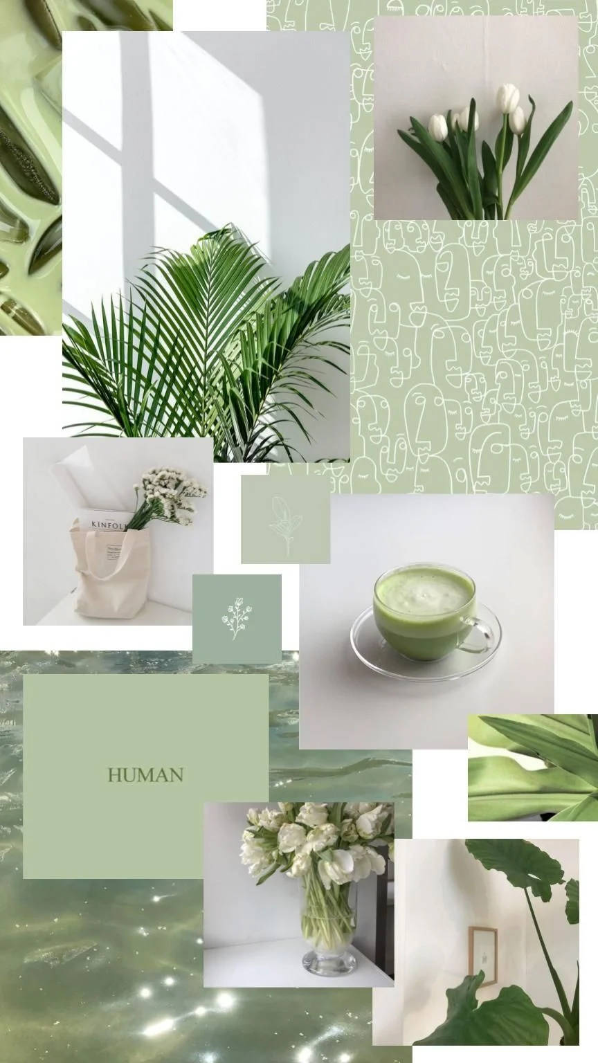 Collage, Salbeigrün, Pflanzen, Matcha, Ästhetik, Hintergrundbild für iPhone und Android