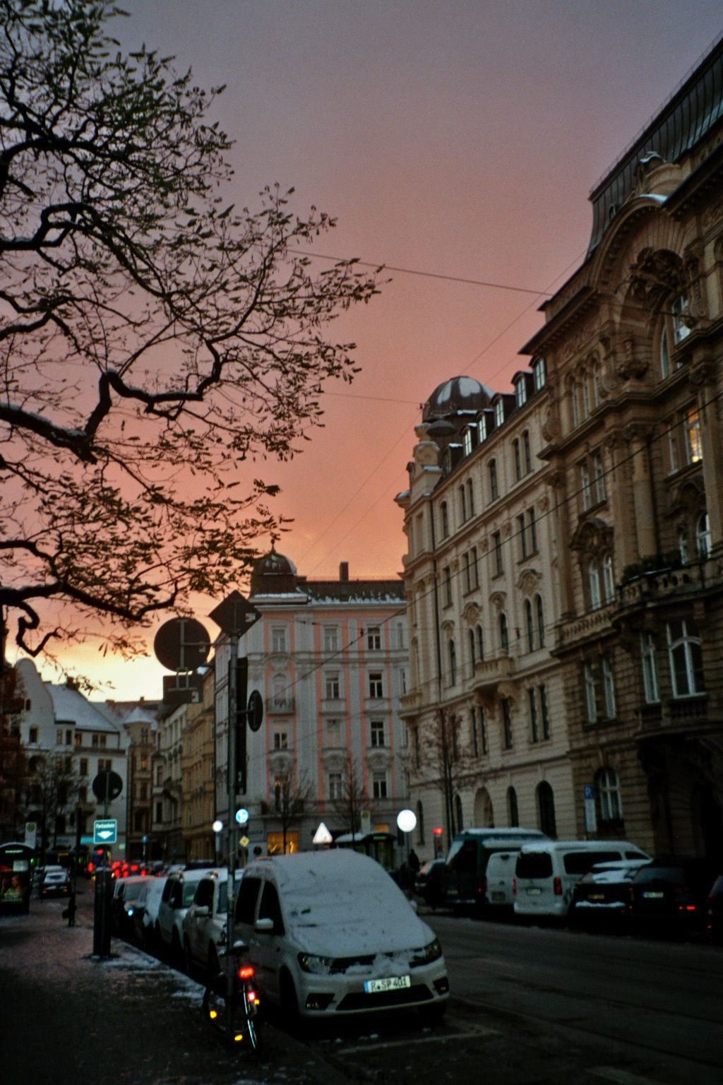 Wien, Altbauten, Straße, Abendrot, Kahler Baum, Autos, HD, Hintergrundbild fürs Handy