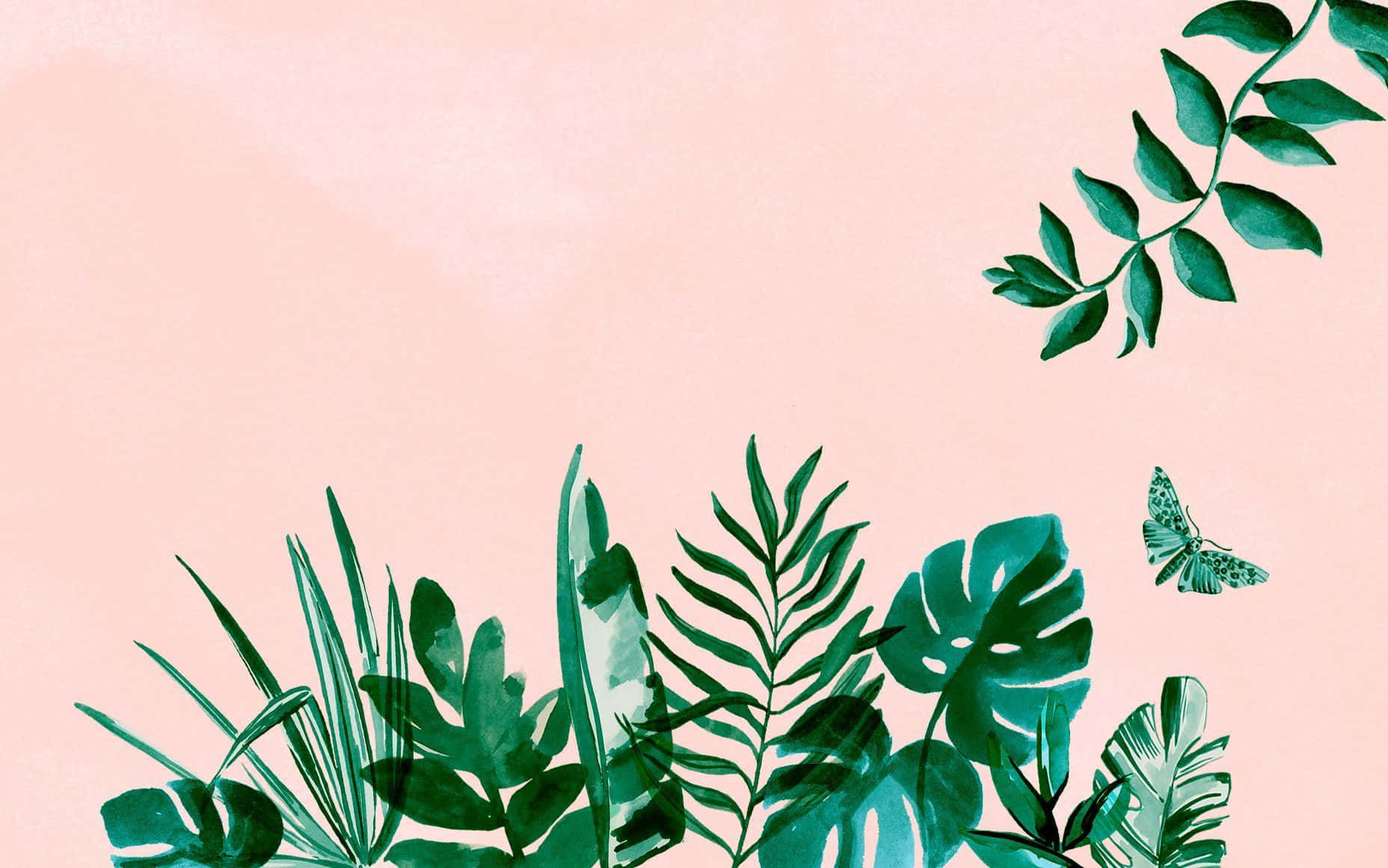 Tropische Blätter, Monstera, Schmetterling, Pastellrosa, Illustration, HD-Hintergrundbild für PC