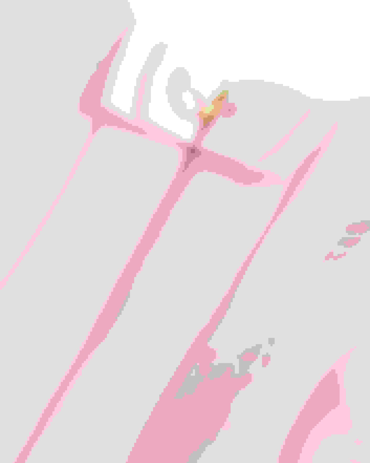 Pinselstriche, Abstrakt, Rosa, Grau, Moderne Kunst, Hintergrundbild für iPad und Tablet