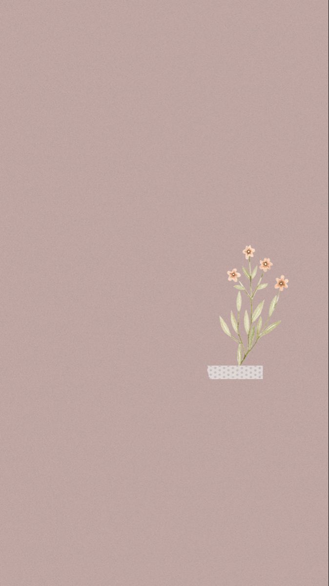 Blumentopf, Blumen, Minimalistisch, Taupe Hintergrund, Wallpaper