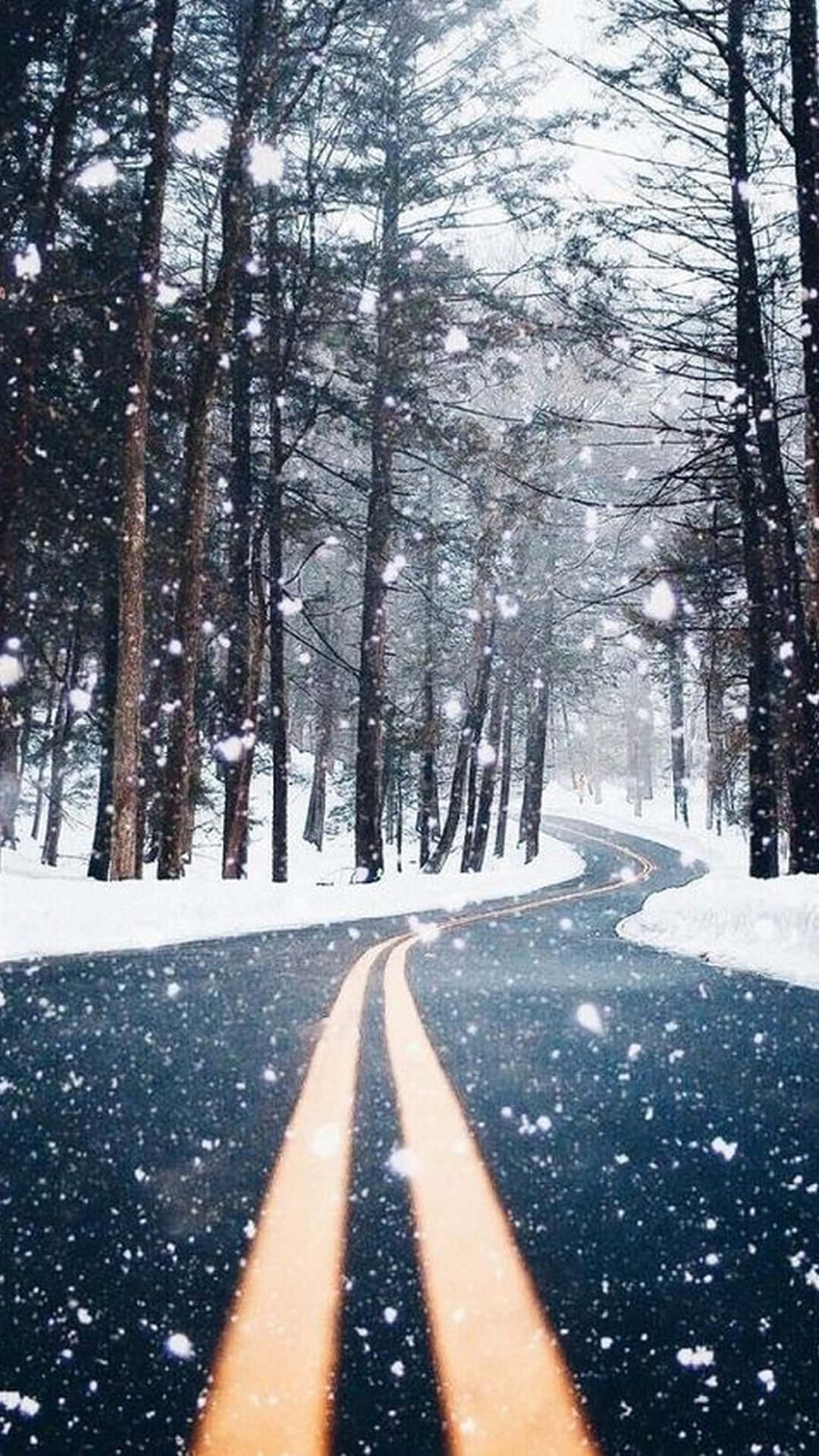 Verschneite Straße, Kiefernwald, Gelbe Mittellinie, Schneefall, Winter, 1080x1920, Handy-Hintergrund