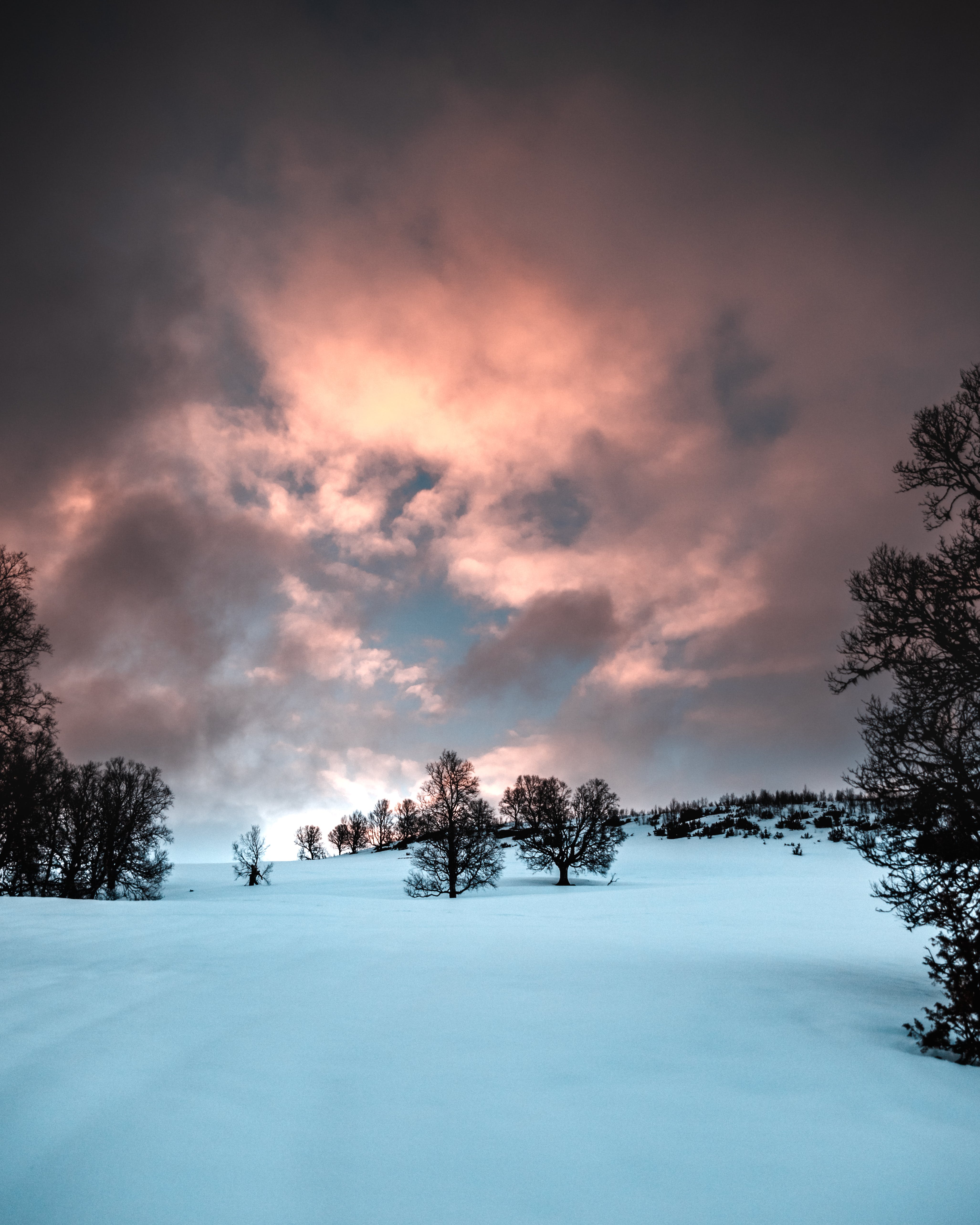 Dramatischer Himmel, Schneefeld, Bäume, Sonnenuntergang, Rosa Wolken, Hintergrundbild fürs iPad