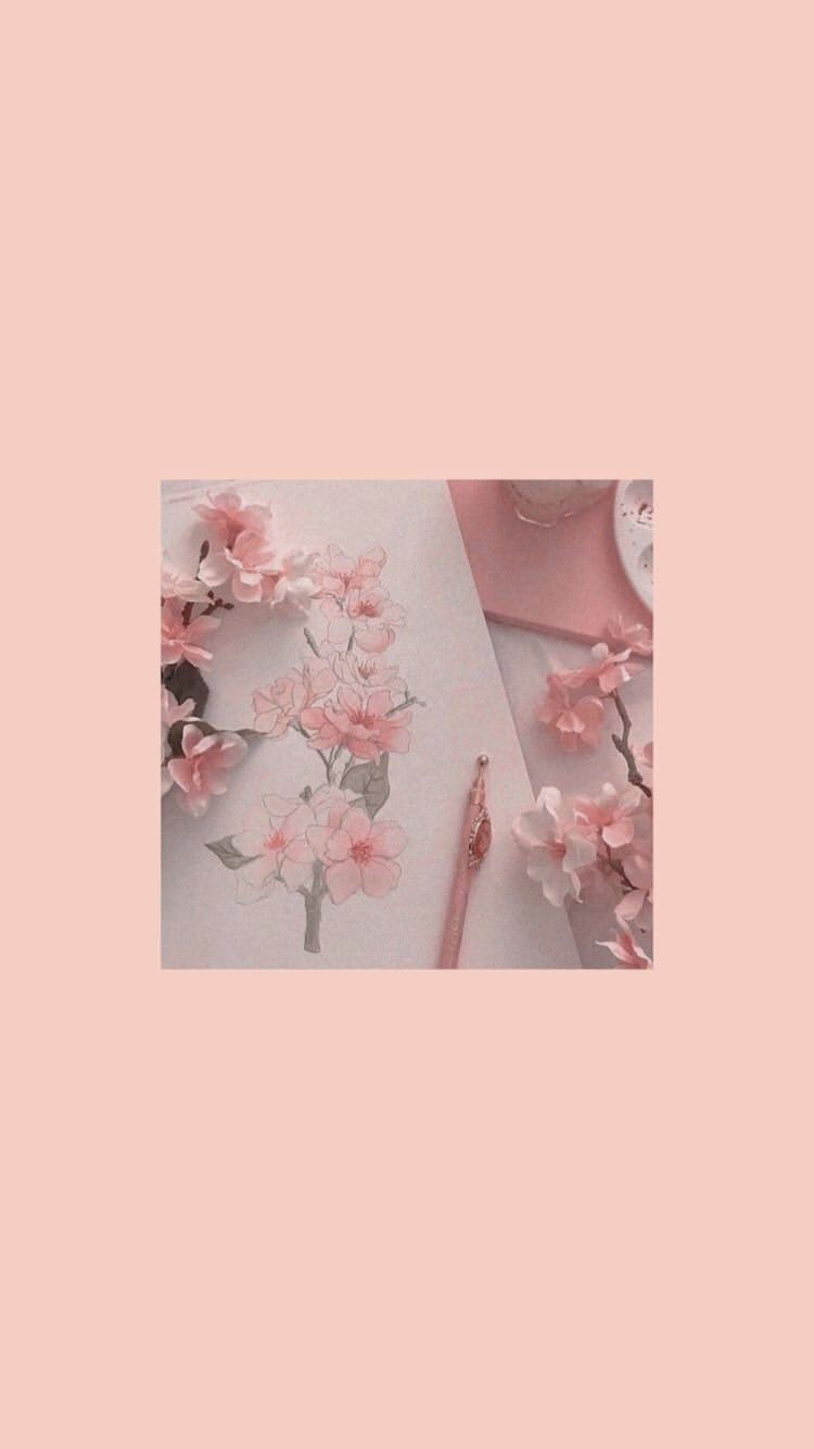 Blüten, Rosa Blumen, Rahmen, Rosa Hintergrund, HD, Sperrbildschirm fürs iPhone