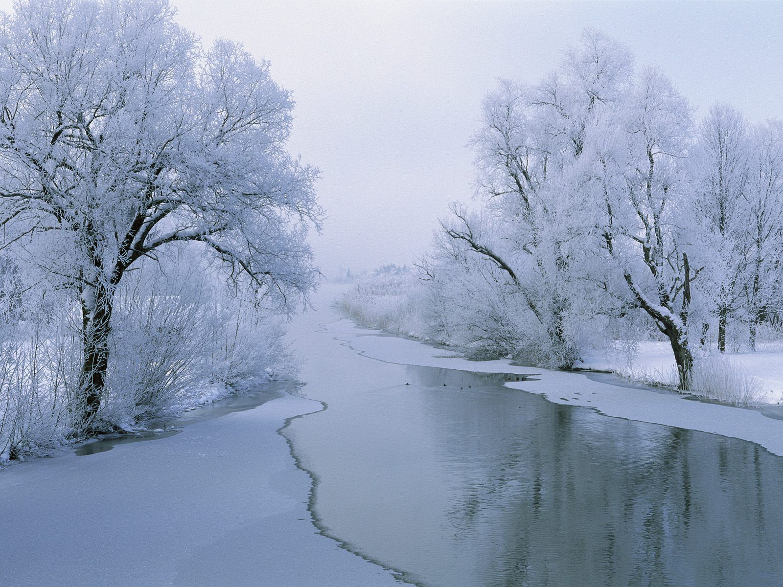 Fluss, Raureif, Verschneite Bäume, Nebel, Winterlandschaft, Hintergrundbild fürs Tablet