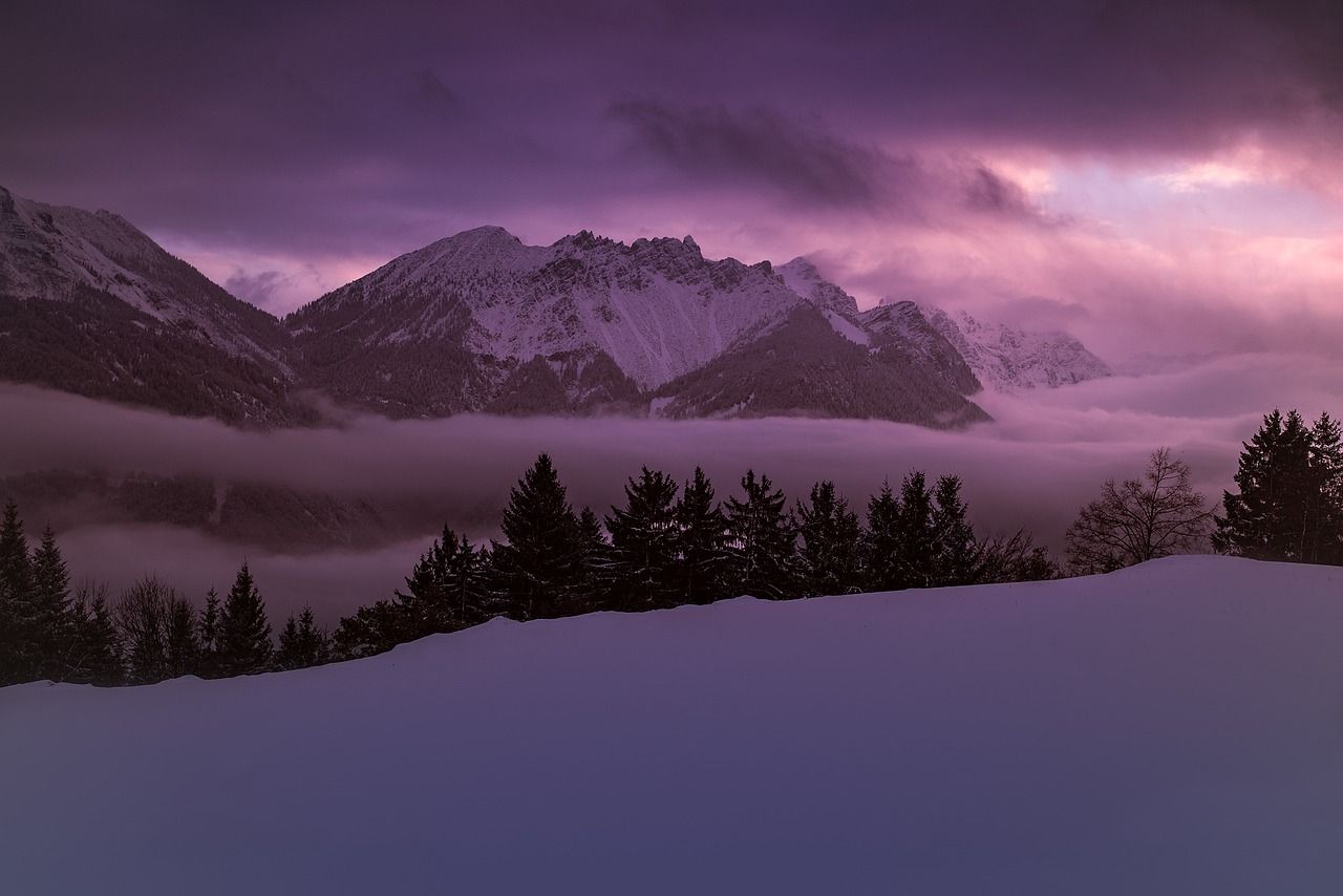Gebirge, Nebel, Schneefeld, Lila Himmel, Dämmerung, Nadelbäume, HD-Hintergrundbild für PC