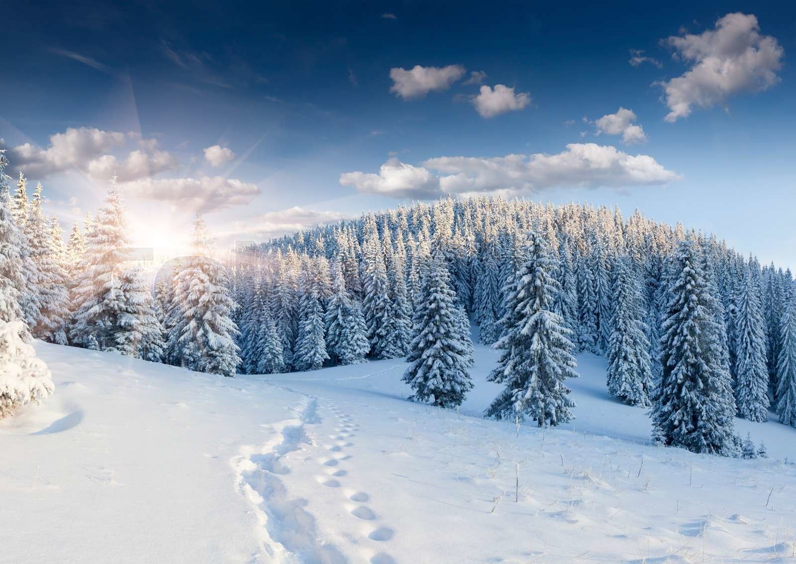 Verschneiter Hügel, Nadelwald, Fußspuren, Sonnenstern, Blauer Himmel, HD, Windows-Hintergrundbild