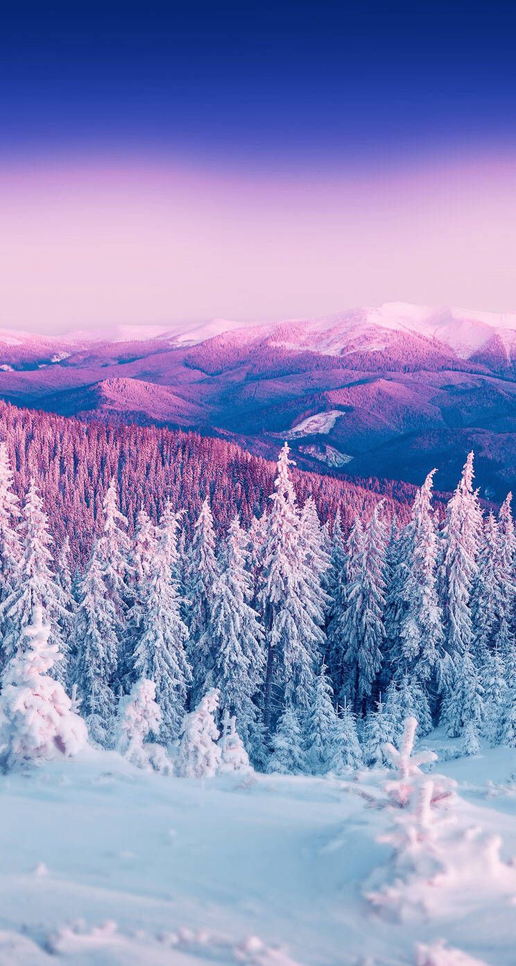 Verschneite Tannen, Berge, Lila Himmel, Fernblick, Dämmerung, HD, Handy-Hintergrundbild
