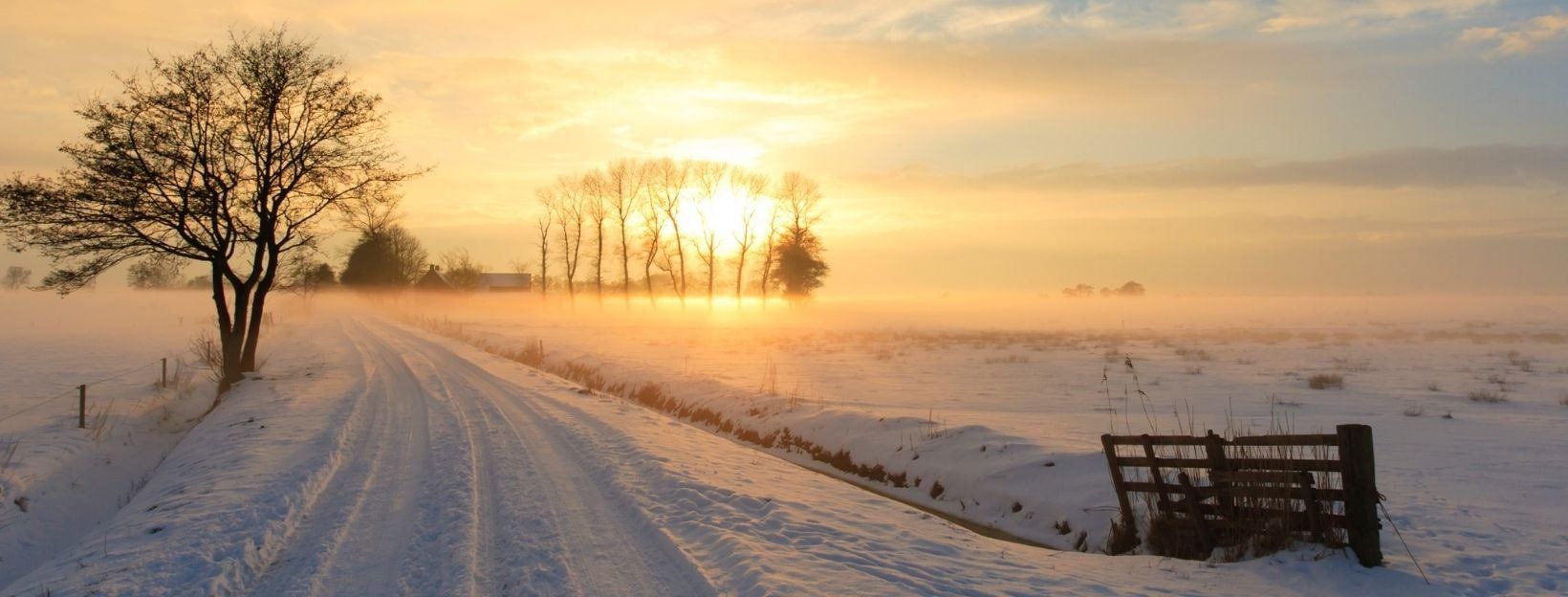 Einsamer Baum, Feldweg, Sonnenuntergang, Nebel, Holzbank, Goldene Töne, HD, Laptop-Hintergrundbild