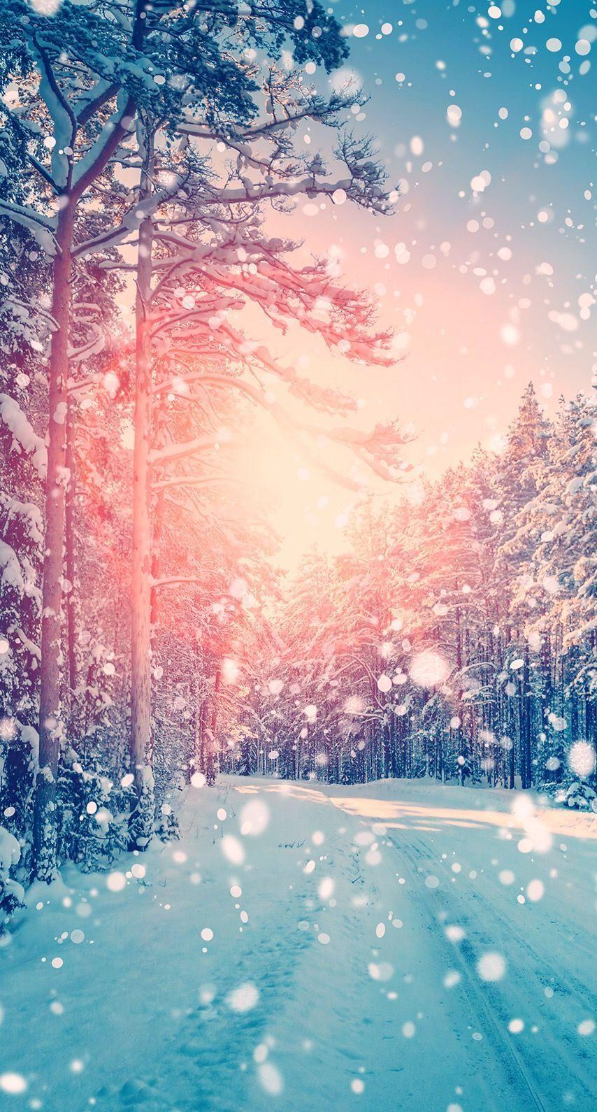 Schneefall, Waldweg, Gegenlicht, Rosa und Türkis, Bäume, Hintergrundbild fürs Handy