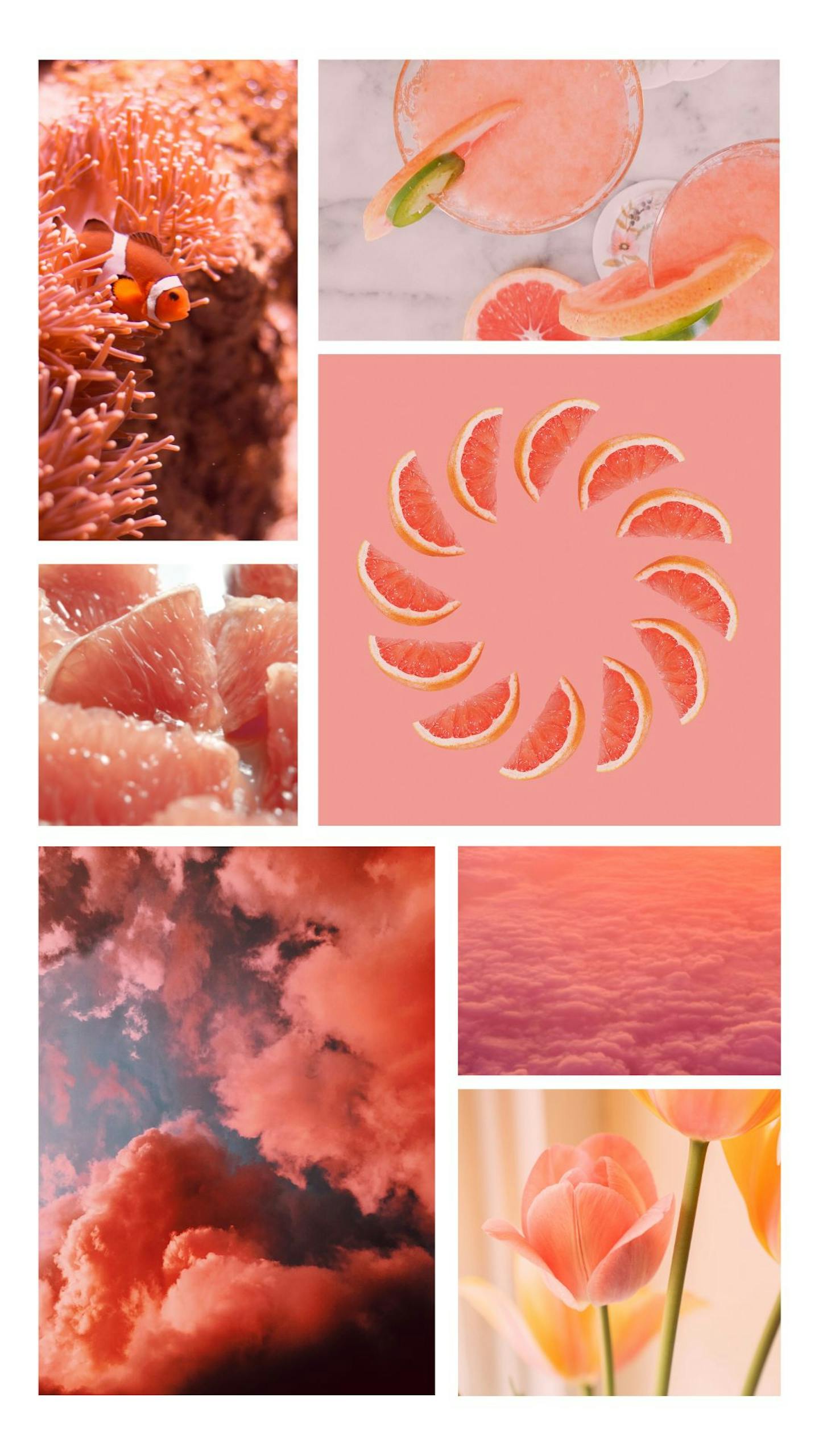 Collage, Pfirsichfarben, Aesthetic, Korallen, Blumen, QHD+, Sperrbildschirm fürs iPhone