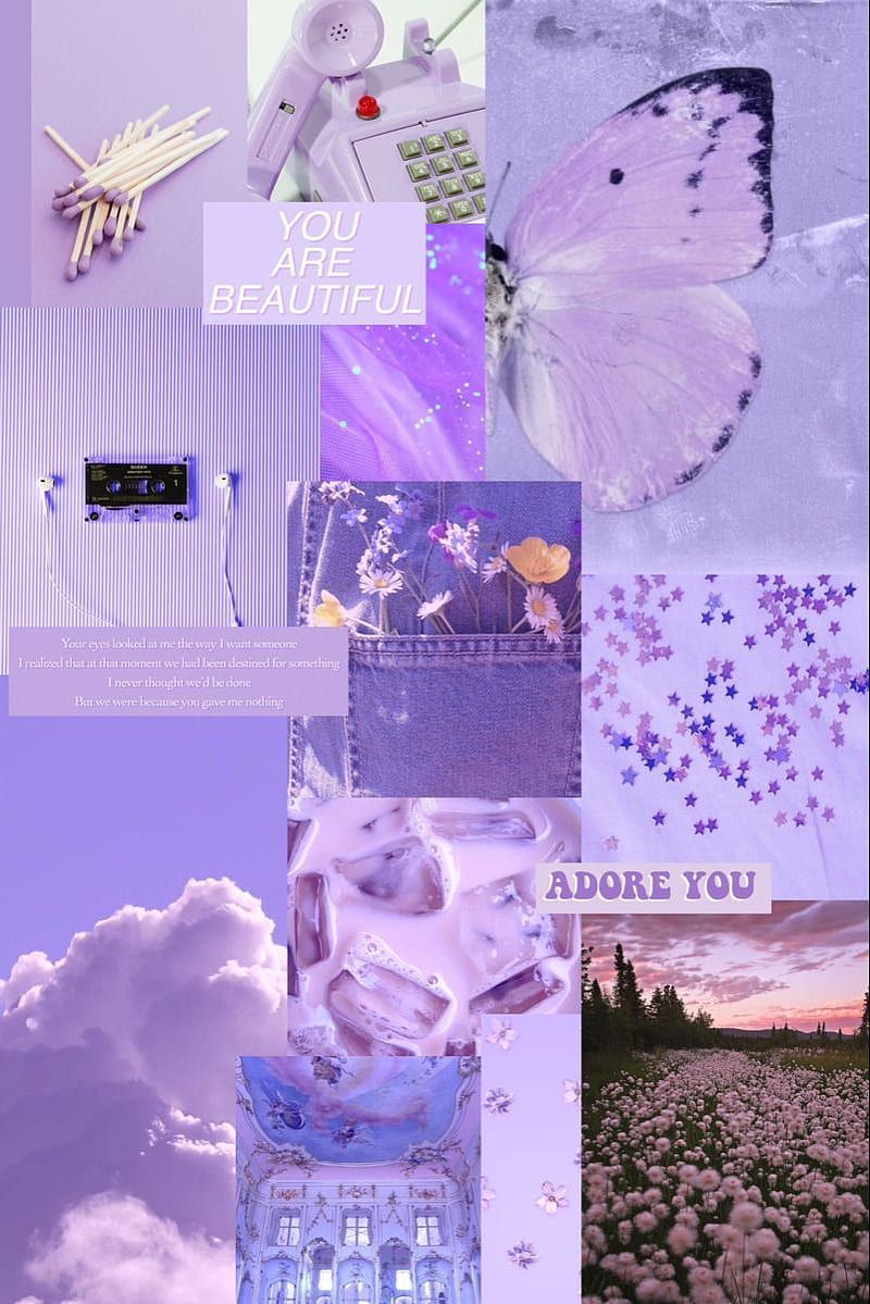 Collage, Lila, Ästhetik, Schmetterling, Lavendelfeld, HD, Hintergrundbild fürs Tablet