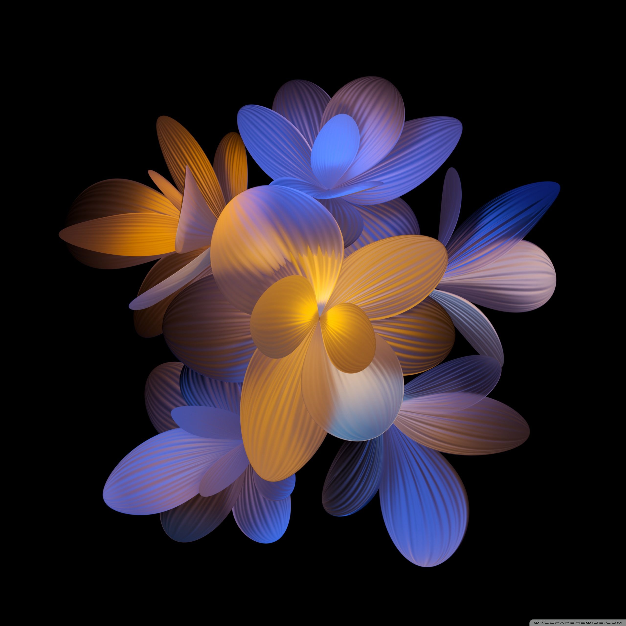 Abstrakte Blüte, Digitale Kunst, Blau, Orange, Schwarzer Hintergrund, 2K Wallpaper