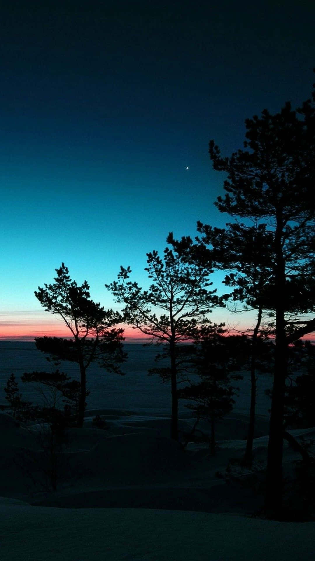 Baumsilhouetten, Dämmerung, Blauer Himmel, Nacht, Horizont, Full HD, Handy-Hintergrund