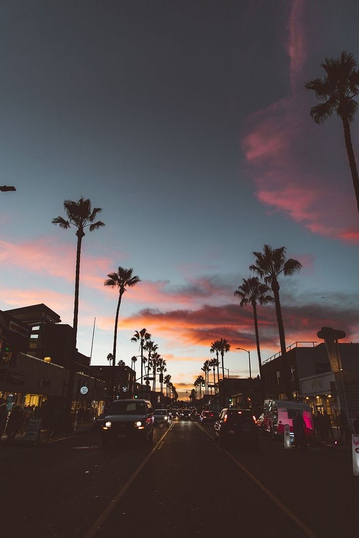 Palmen, Straße, Abendrot, Silhouetten, Stadt, Rosa Himmel, Hintergrundbild fürs Tablet