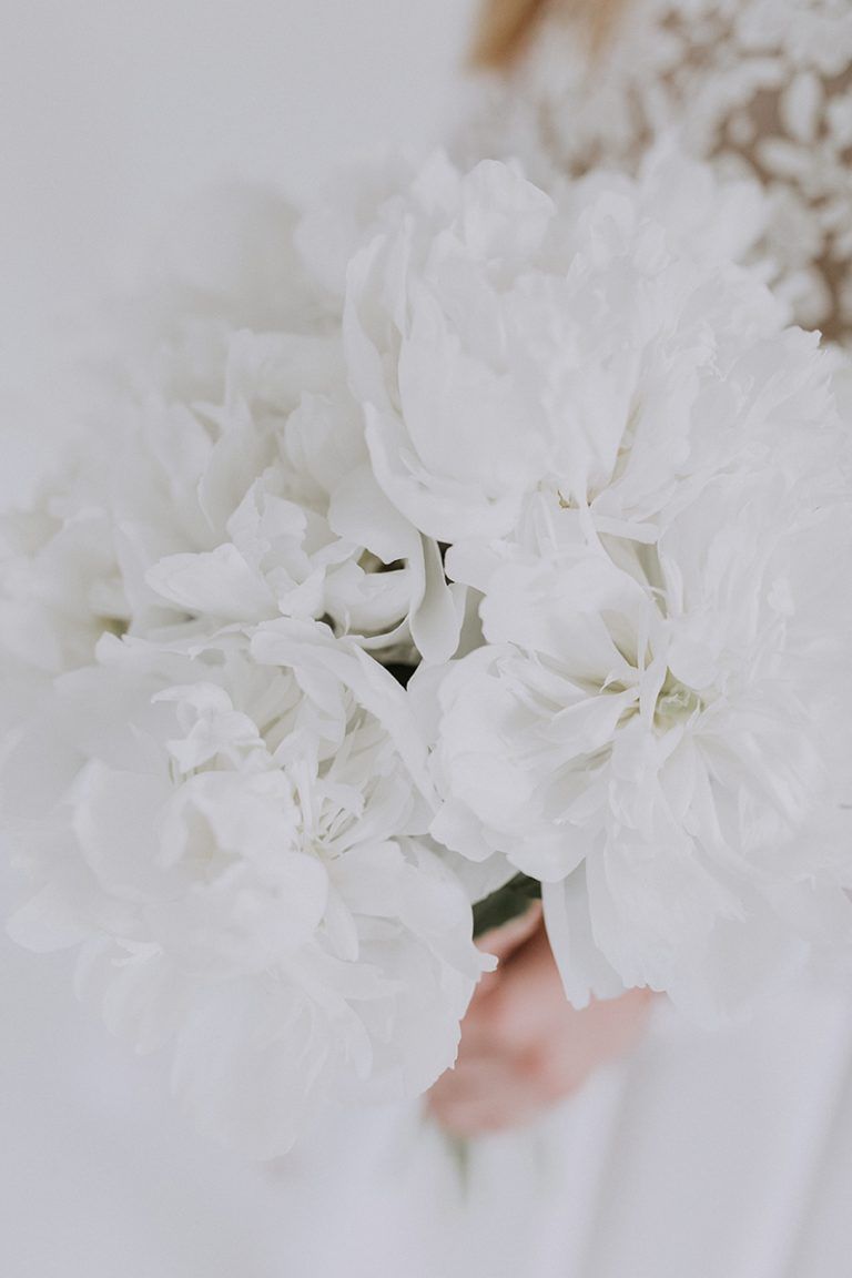 Weiße Blüte, Hand, Hell, Zart, HD, Sperrbildschirm fürs iPhone