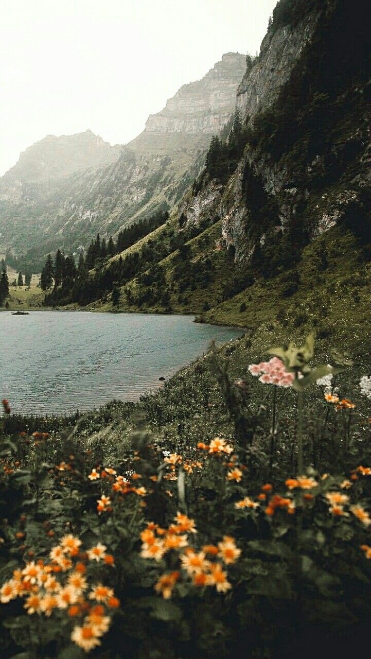 Bergsee, Gelbe Blumen, Gebirge, Wald, Alpen, Hintergrundbild für iPhone und Android