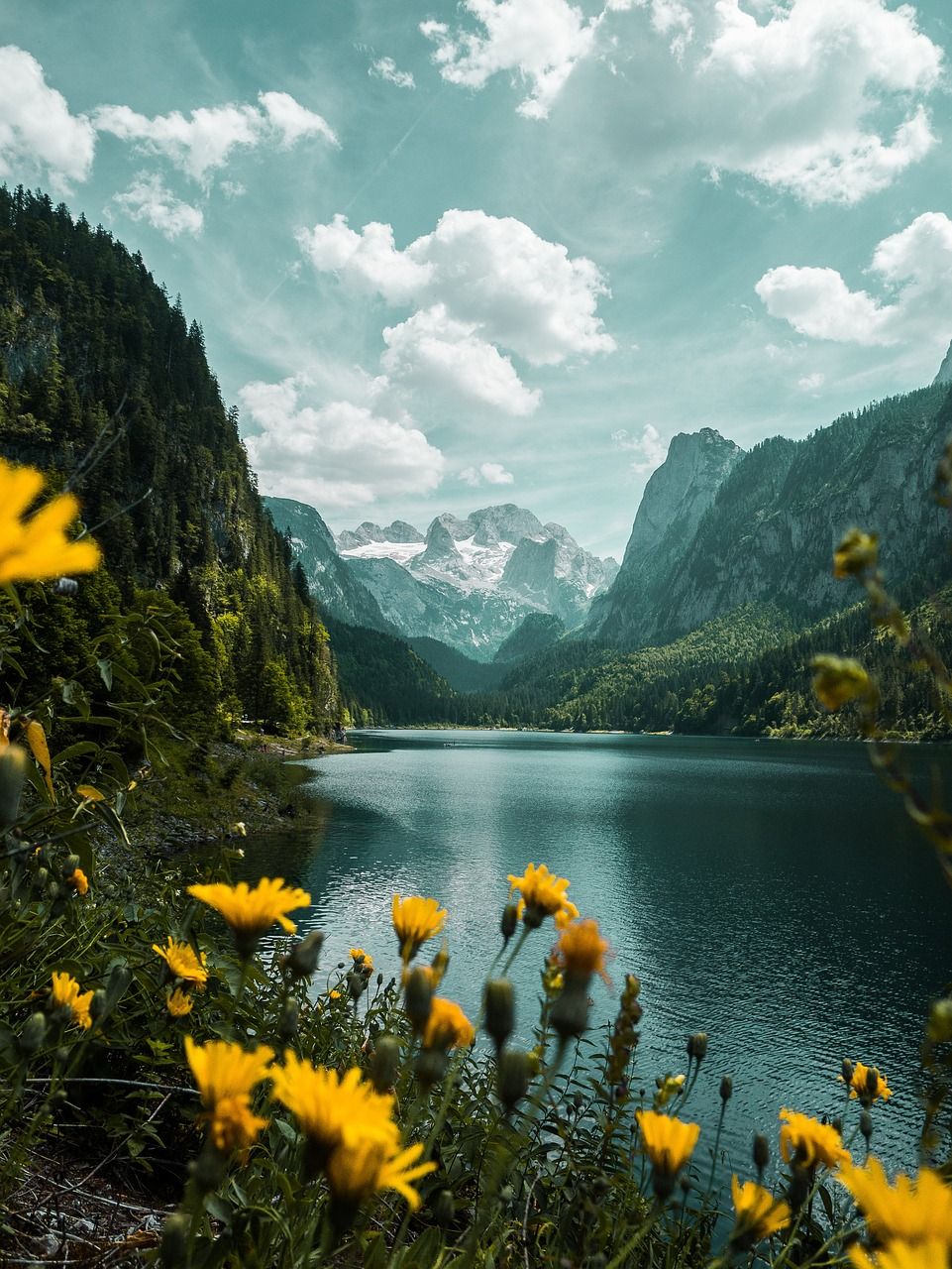 Bergsee, Gelbe Blumen, Gebirge, Wolken, Fjord, Hintergrundbild für iPad und Tablet