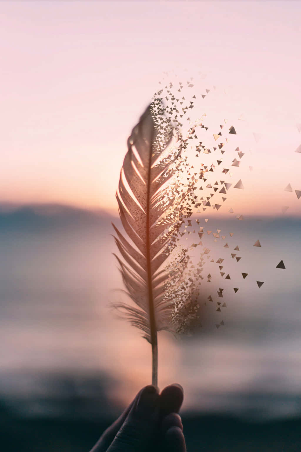 Feder, Zerfallseffekt, Vögel, Hand, Rosa Himmel, Surreal, HD, Handy-Hintergrund