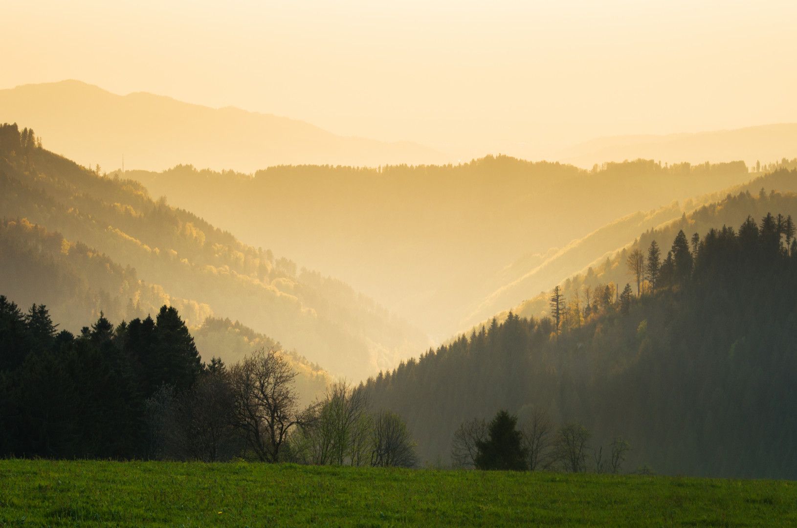 Hügelland, Nebel, Wald, Goldenes Licht, Täler, Wiese, HD, Hintergrundbild für den PC