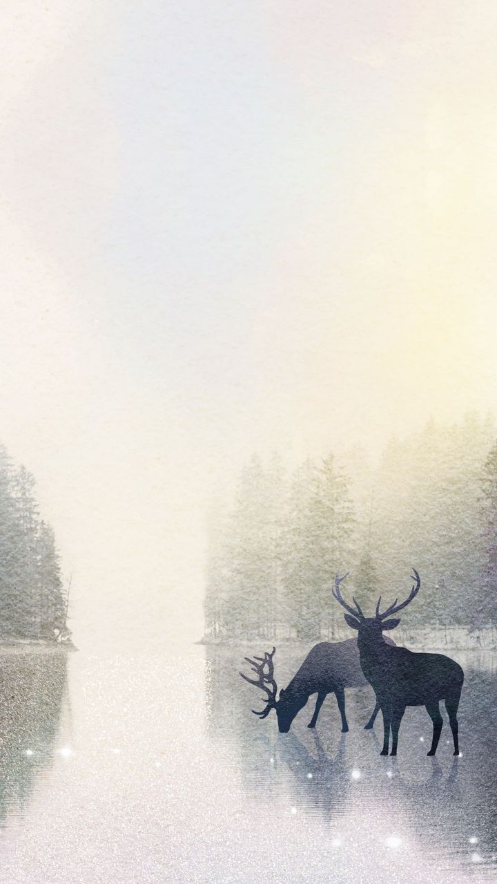 Hirsch, Winterwald, Nebel, Schnee, Silhouette, HD, Sperrbildschirm fürs iPhone