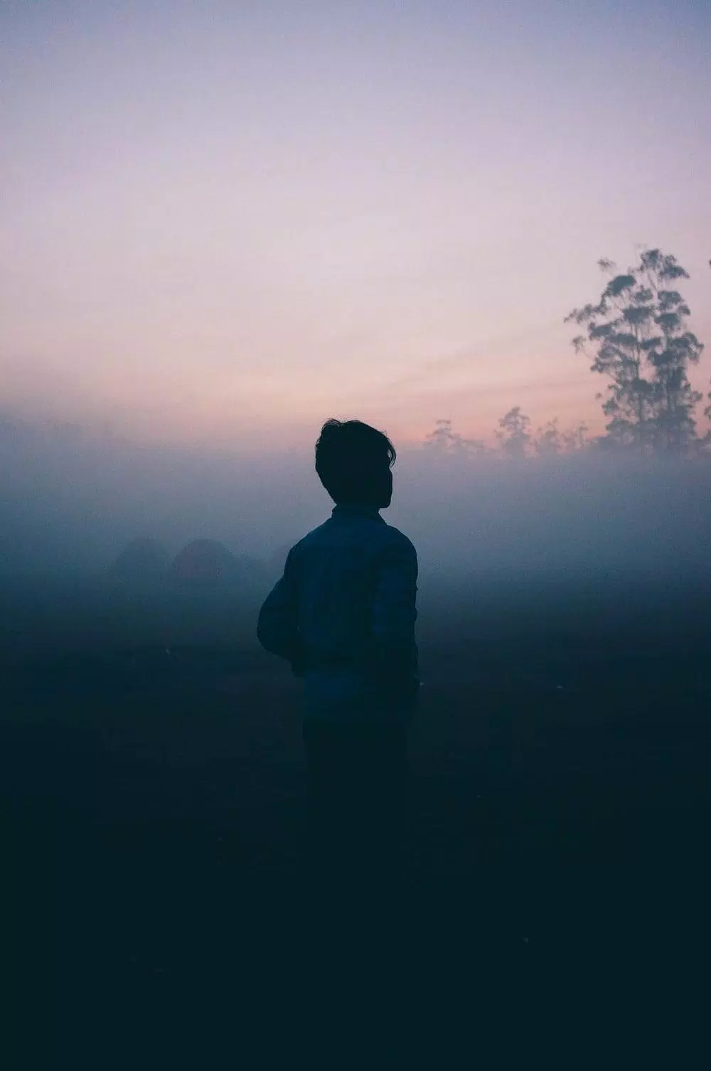 Silhouette, Mensch, Nebel, Dämmerung, Blaue Stunde, HD, Handy-Hintergrund im Hochformat