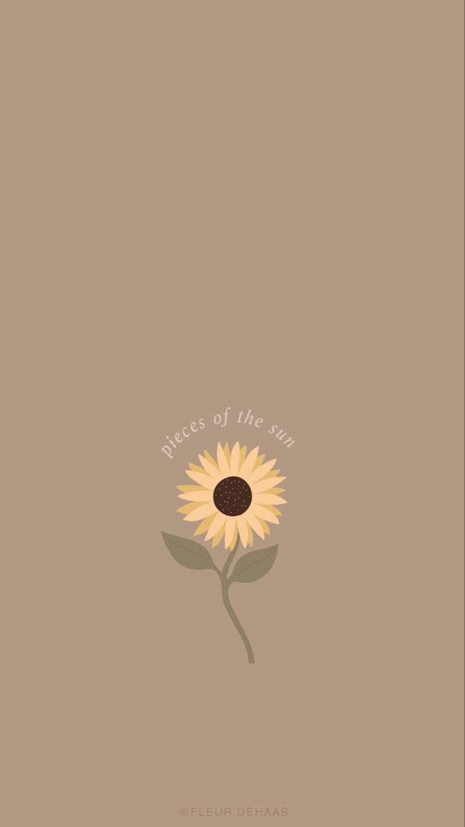 Sonnenblume, Illustration, Minimalistisch, Beige Hintergrund, Sperrbildschirm fürs iPhone