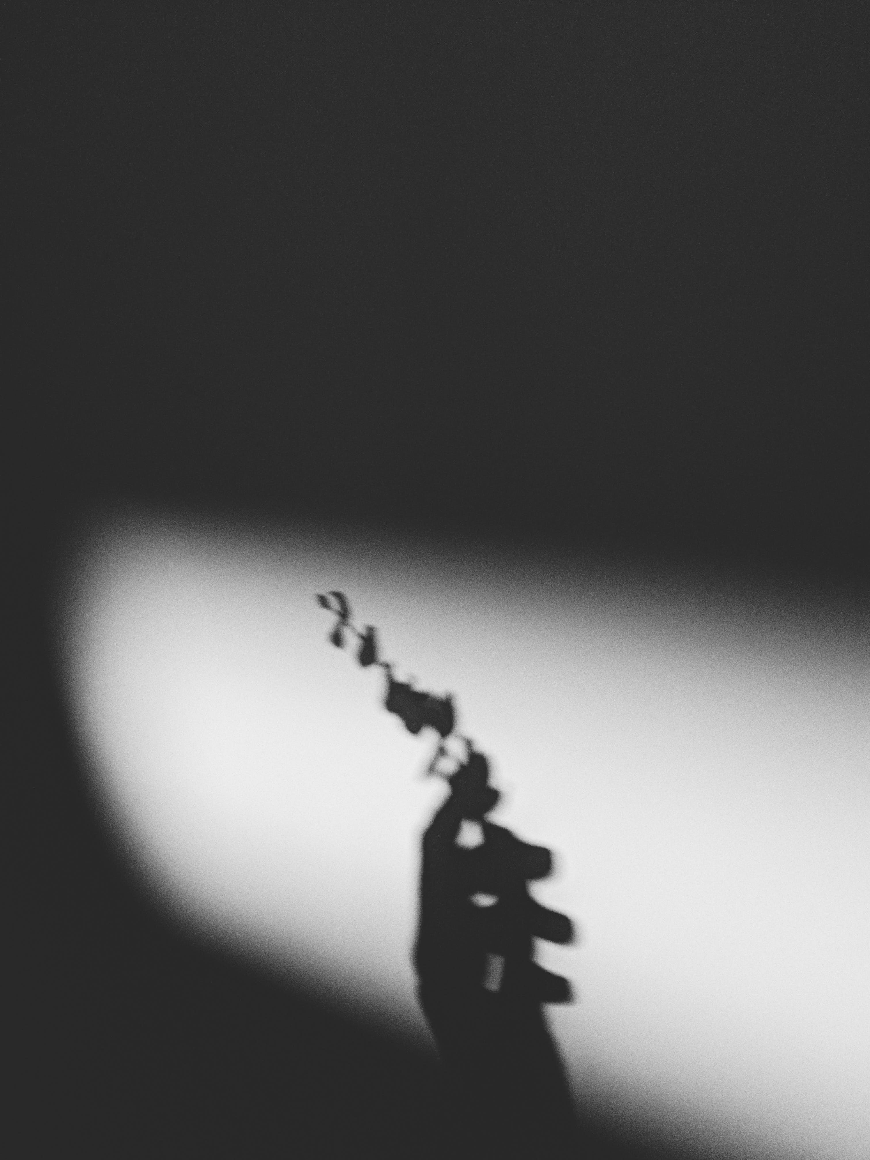 Hand, Blume, Schatten, Lichtstrahl, Schwarzweiß, QHD+, iPad-Hintergrundbild
