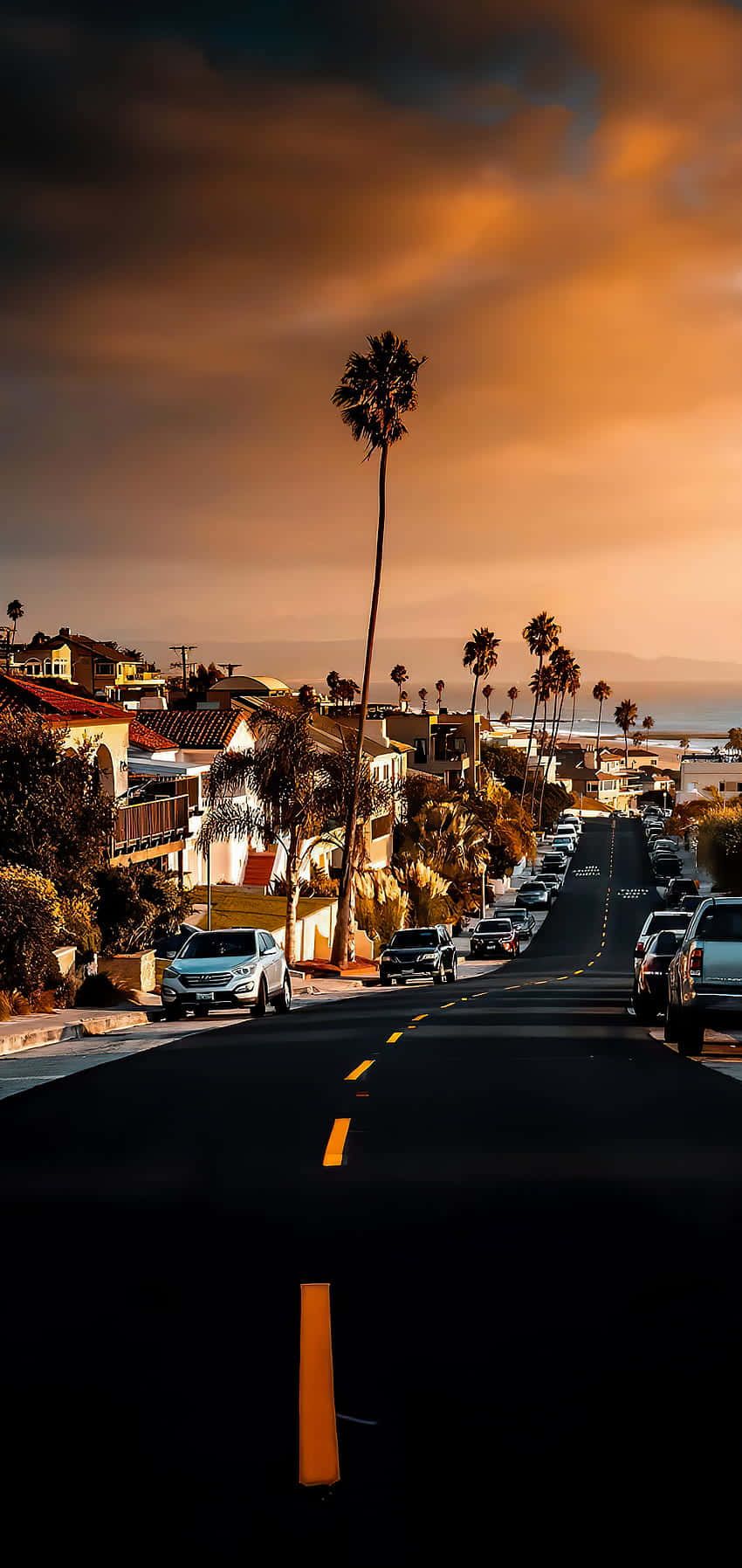 Palmen, Straße, Sonnenuntergang, Hügel, Kalifornien, HD, Hintergrundbild fürs Handy