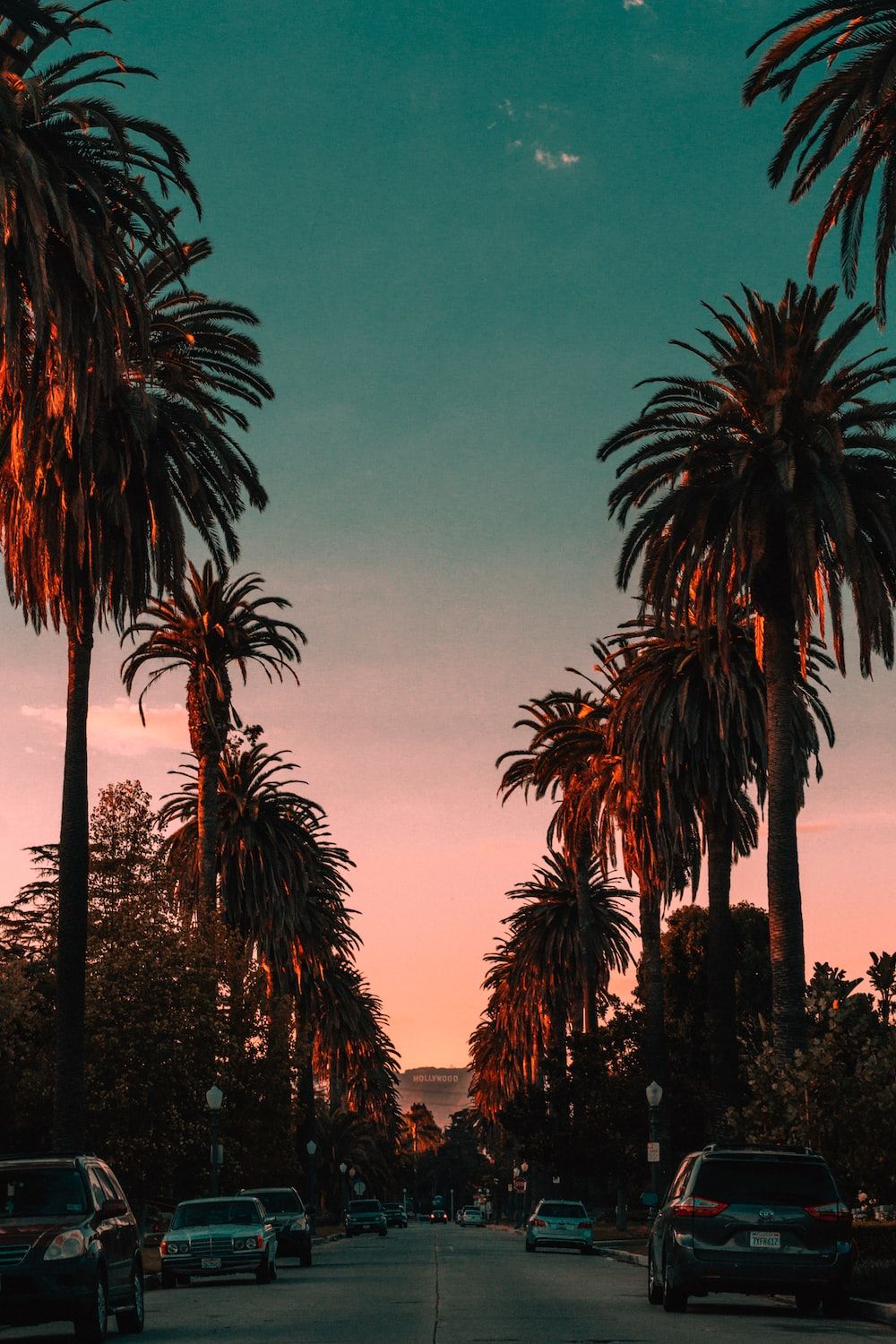 Palmenallee, Straße, Abenddämmerung, Türkis-pink, Silhouetten, Android-Hintergrundbild