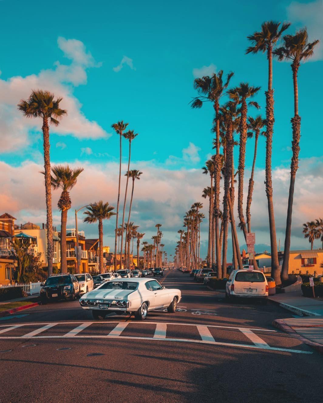 Palmen, Straße, Autos, Türkiser Himmel, Sommer, HD, iPad-Hintergrundbild