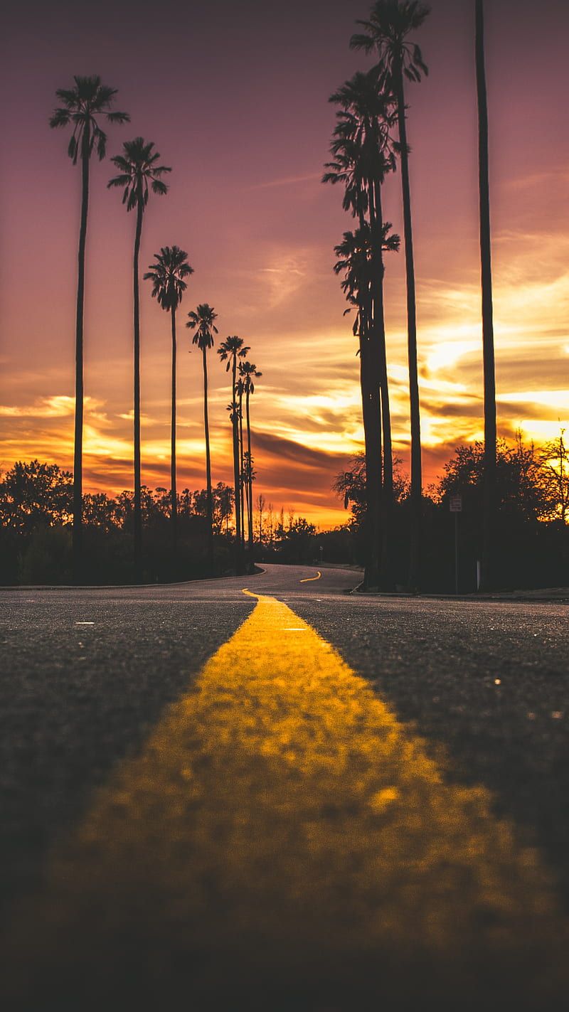 Palmen, Straße, Sonnenuntergang, Fahrbahnmarkierung, Warme Töne, HD, Handy-Hintergrund